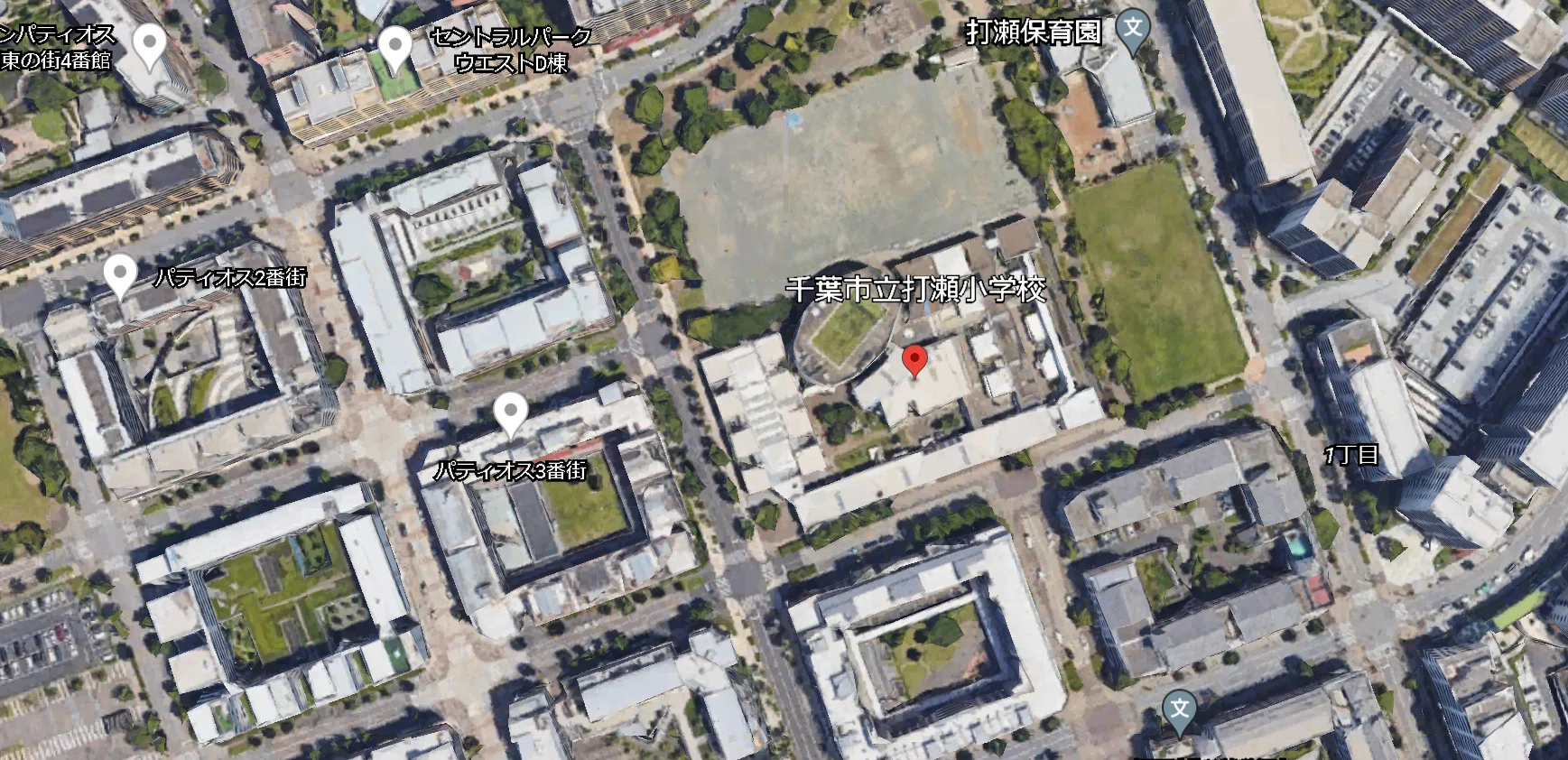 学科】千葉市立打瀬小学校｜荘司 和樹（しょうじ かずき）