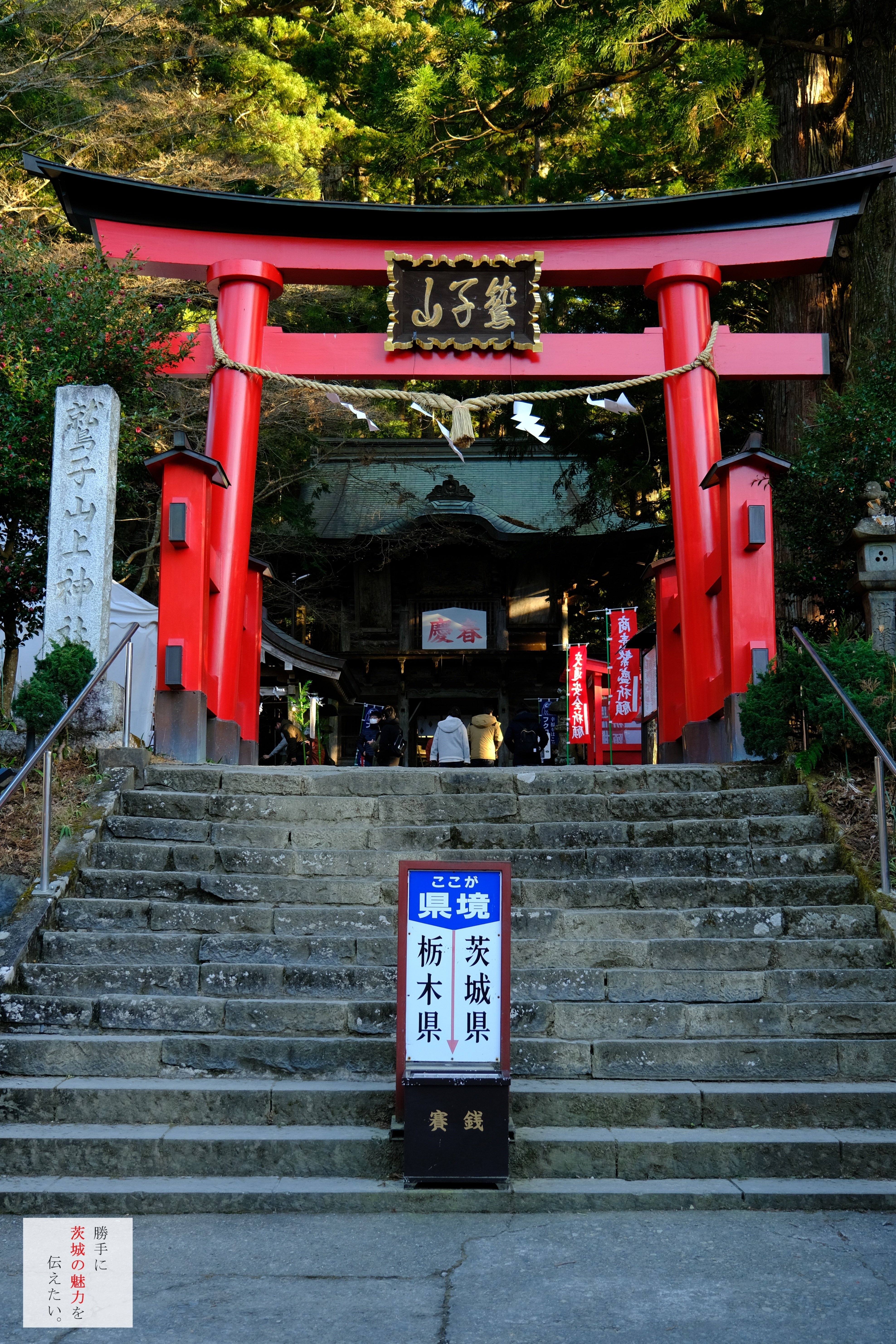 ふくろう神社！ フクロウ案内 | 鷲子山上神社