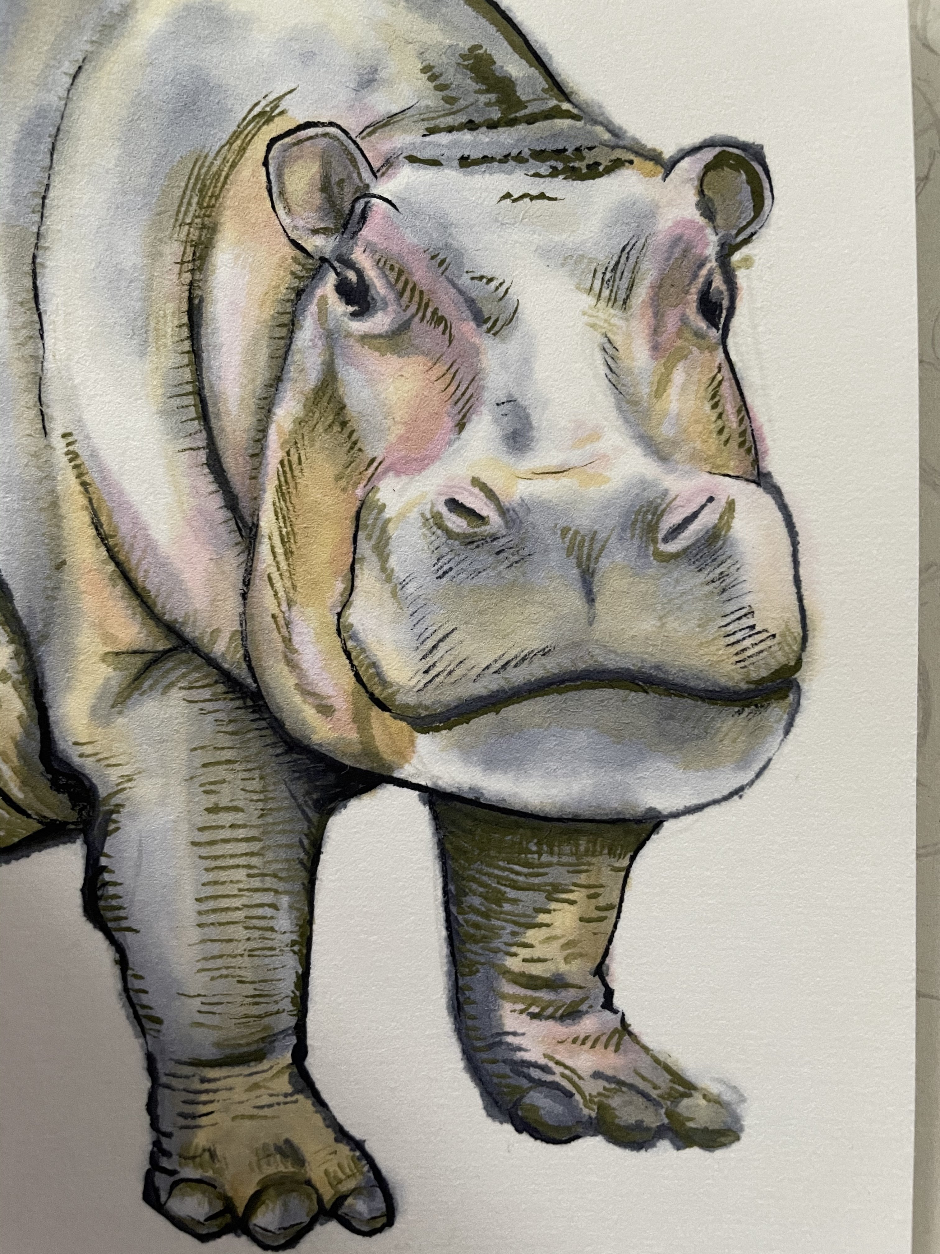 カバのイラストまとめ｜petitlabo