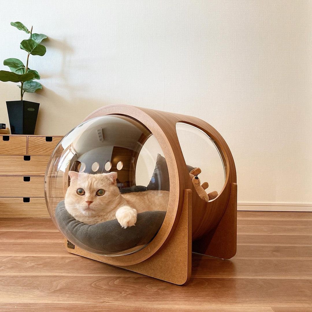 まるで宇宙船！？猫ちゃんのためのおしゃれな木製ベッド 〈 MYZOO 
