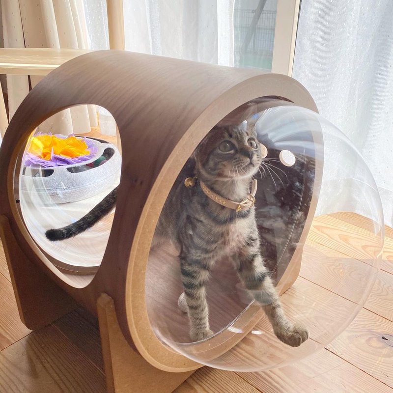MYZOO〈マイズー〉宇宙船アルファ ネコハウス