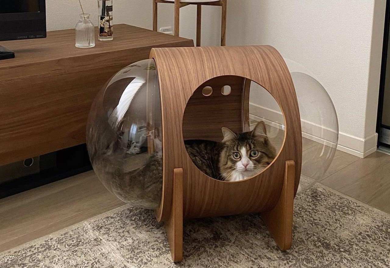 まるで宇宙船！？猫ちゃんのためのおしゃれな木製ベッド 〈 MYZOO