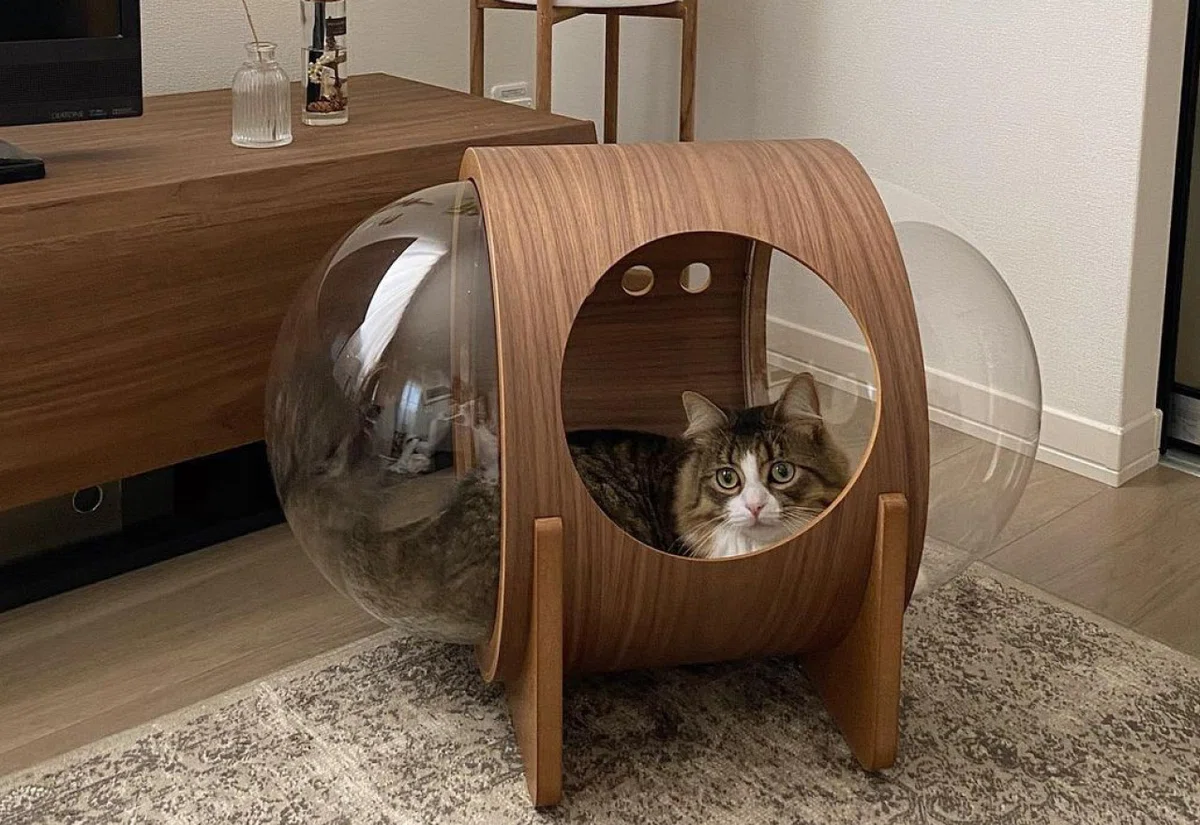 まるで宇宙船！？猫ちゃんのためのおしゃれな木製ベッド 〈 MYZOO 