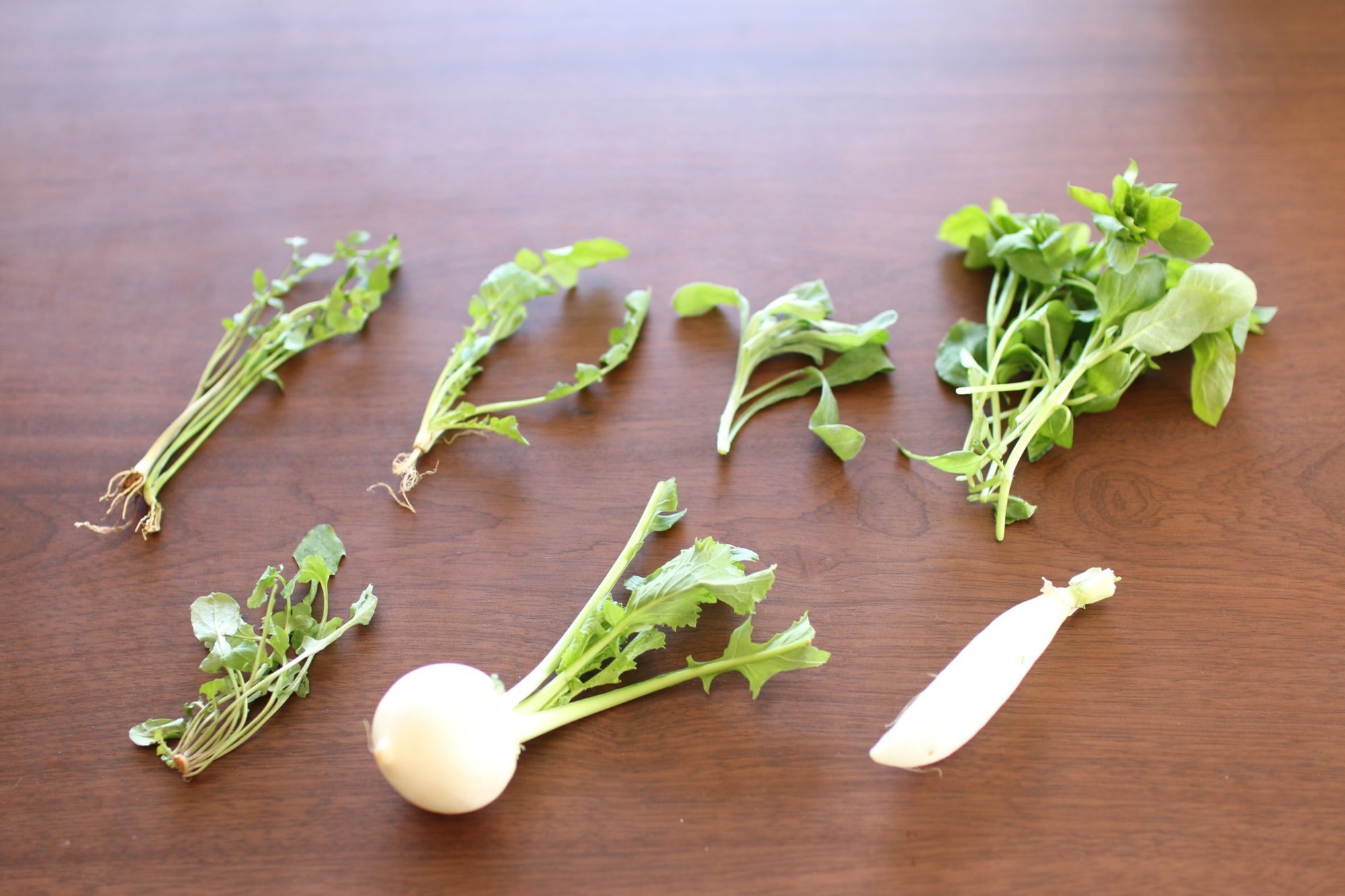 春の七草を 探したり育てたりして粥にした 週末は愛菜家 Vol 07 みたすくらす 東海の地産情報を地元クリエイターがお届け 春の七草を 探したり育てたりして粥にした 週末は愛菜家 Vol 07 みたすくらす 東海の地産情報を地元クリエイターがお届け