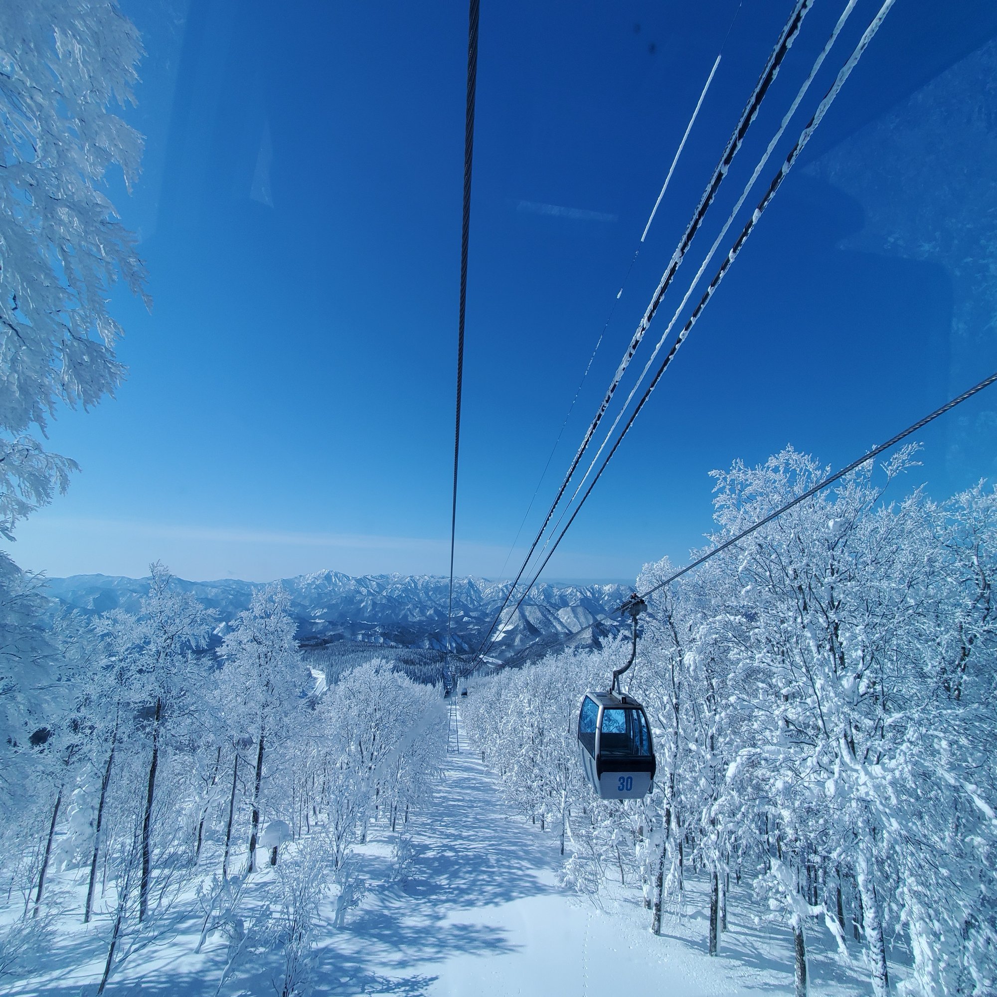 冬の神秘 日本三大樹氷 森吉山 北秋田市 たのやく Note