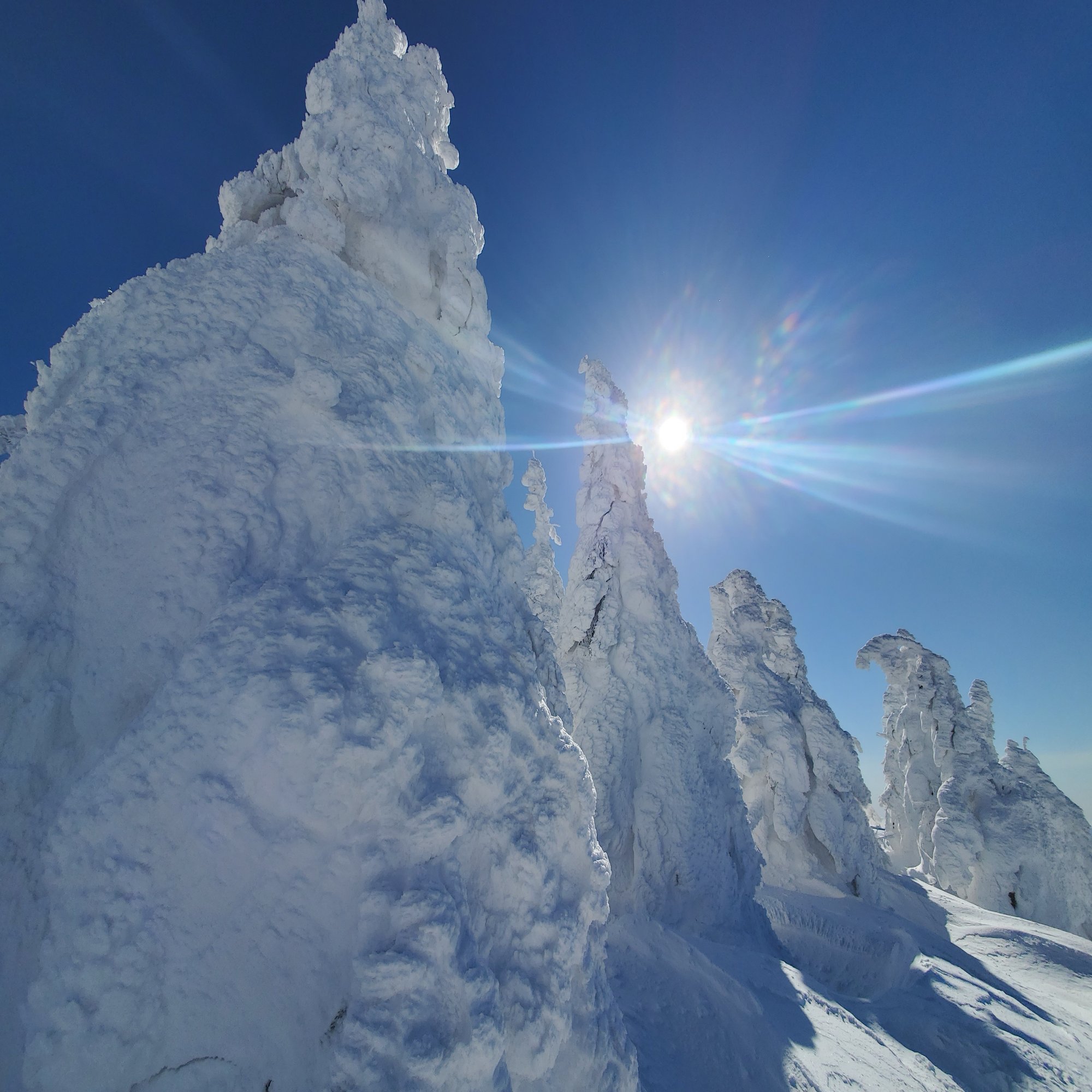 冬の神秘 日本三大樹氷 森吉山 北秋田市 たのやく Note