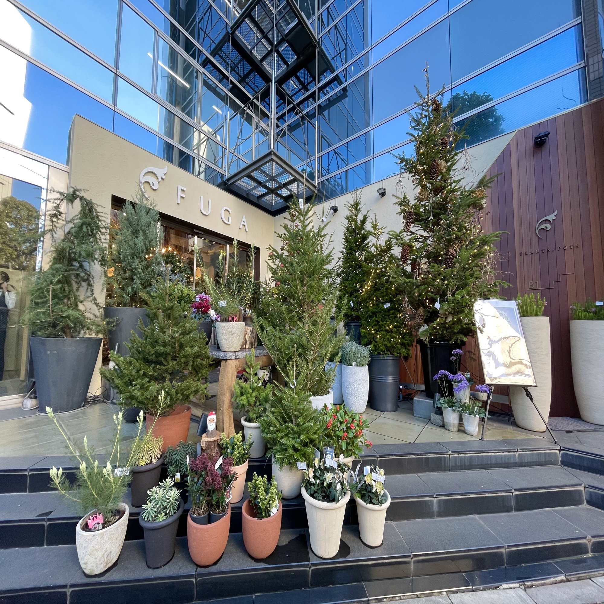 原宿 表参道 プレゼントや自分への贈り物に おしゃれなお花屋さん5選を紹介 Love編集部 Note