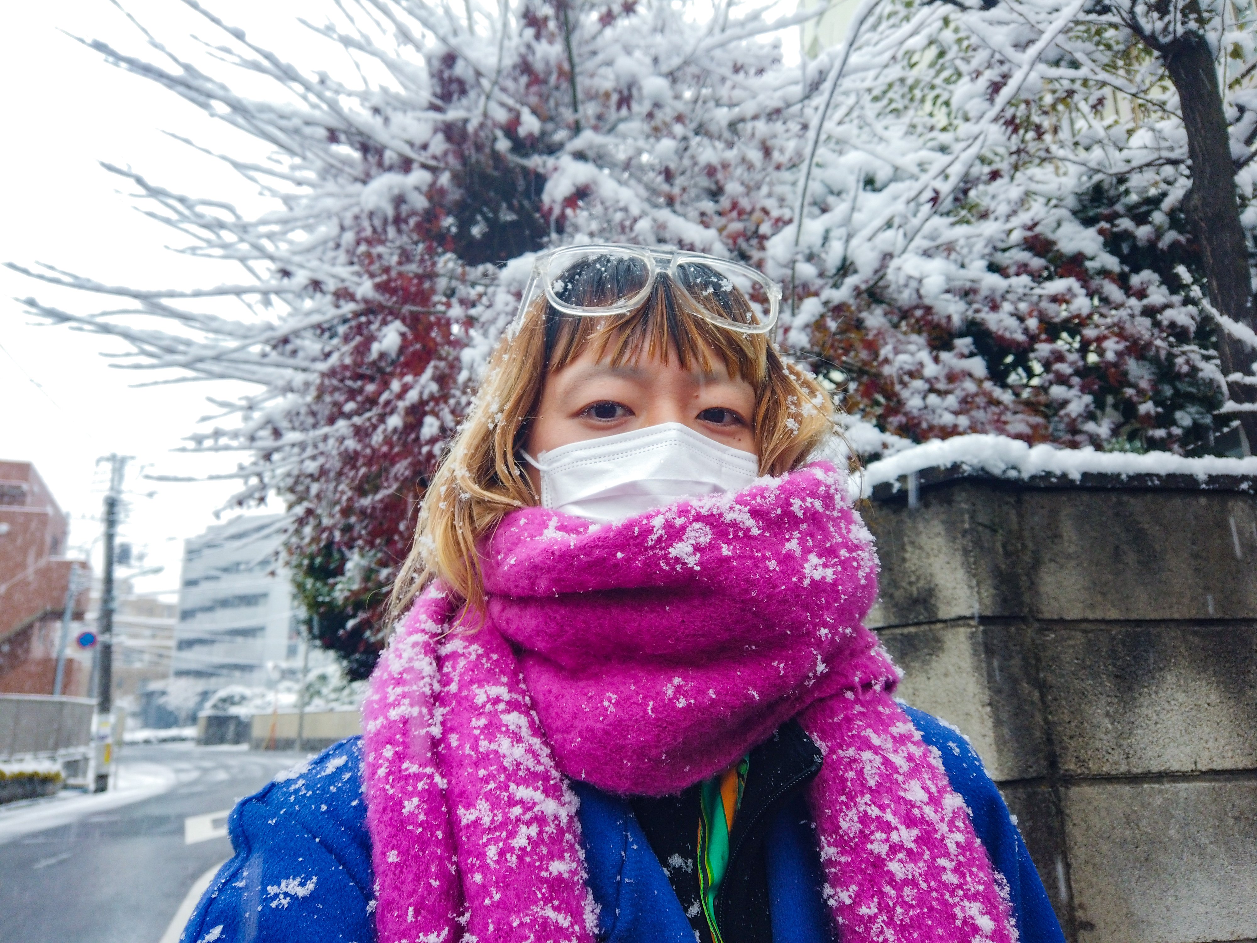 雪の降る朝の赤 七十二候 ｜ 第六十一候「閉塞成冬 (そらさむくふゆとなる)」 12