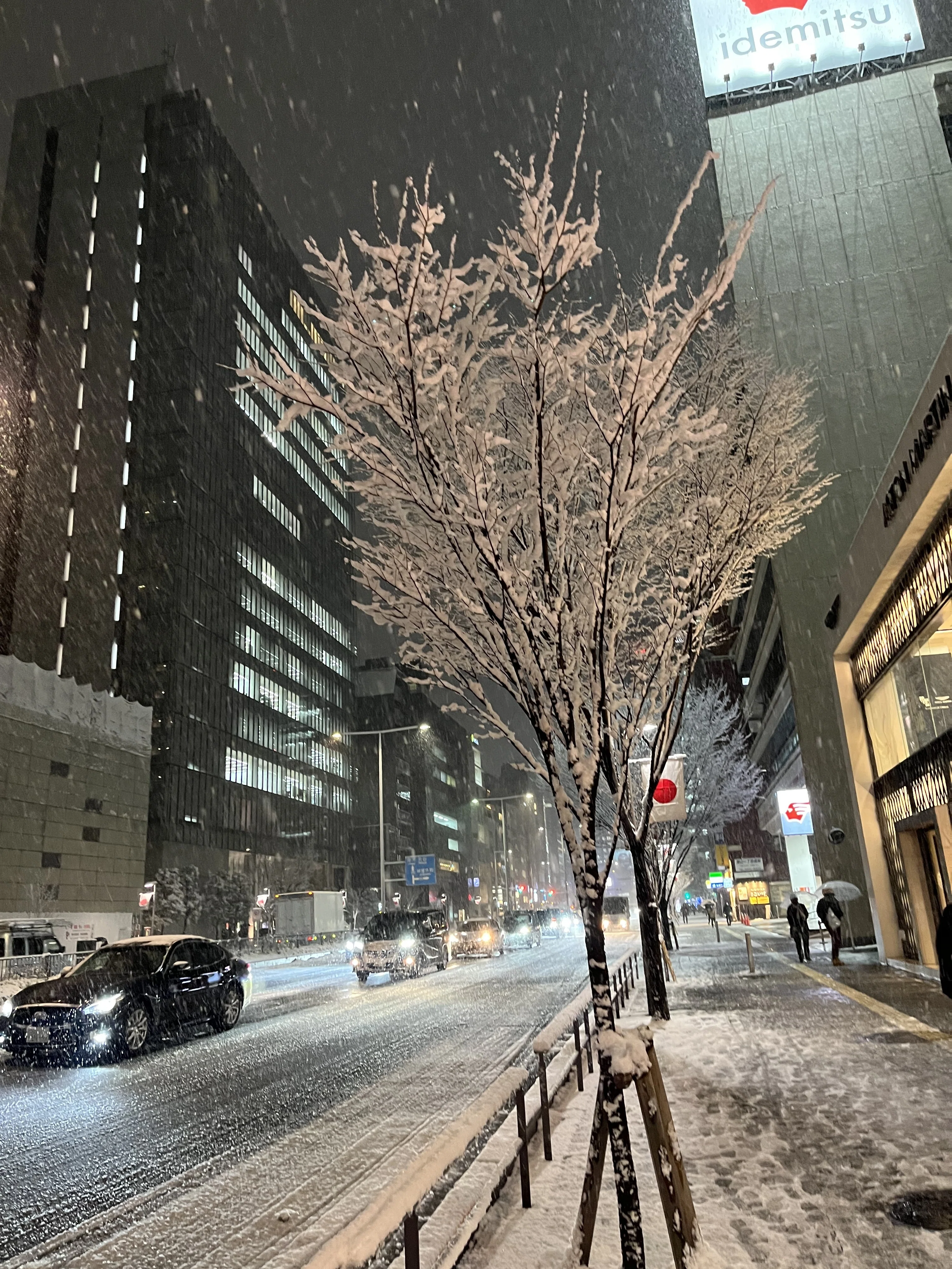 22 01 06 雪降るトーキョー いぶりがっこ Note 22 01 06 雪降るトーキョー いぶりがっこ Note