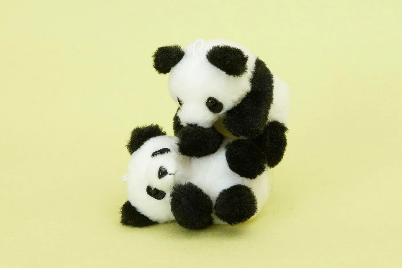 双子パンダの新作グッズが登場！｜上野案内所