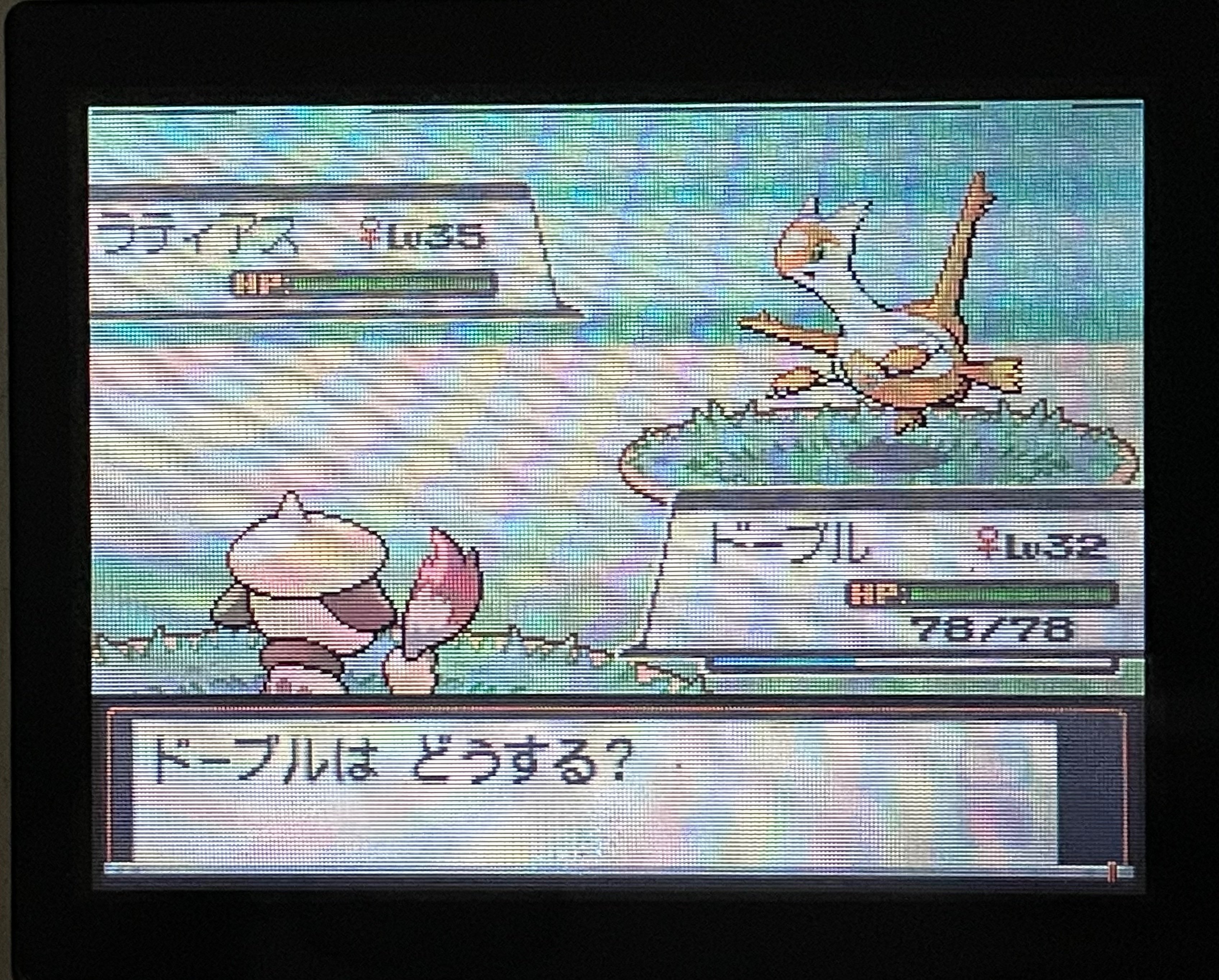 ラティ乱数をクチバでやる ポケモンhgss 佐久間 Note