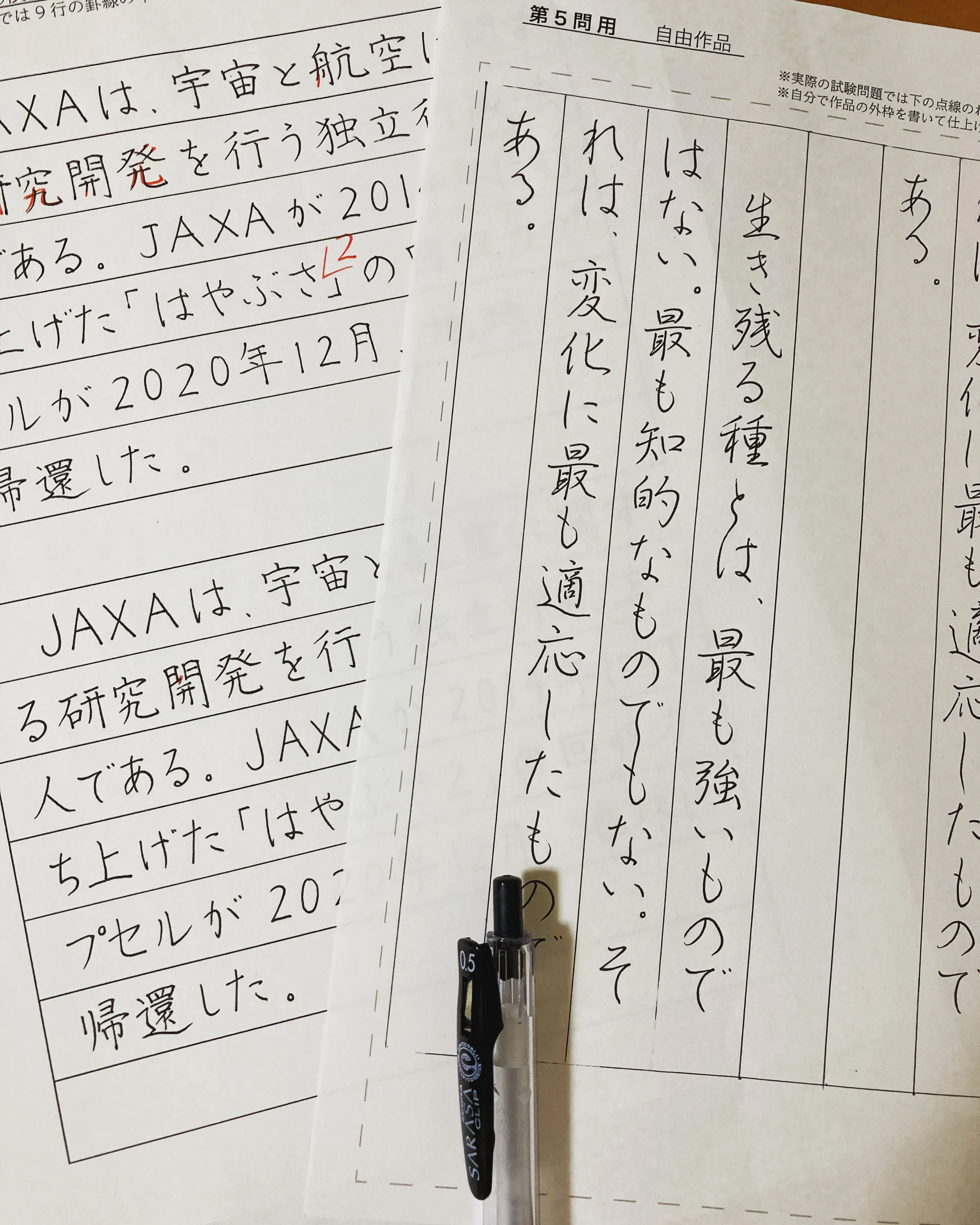硬筆書写検定1級の過去問を書いてみました。｜tomo