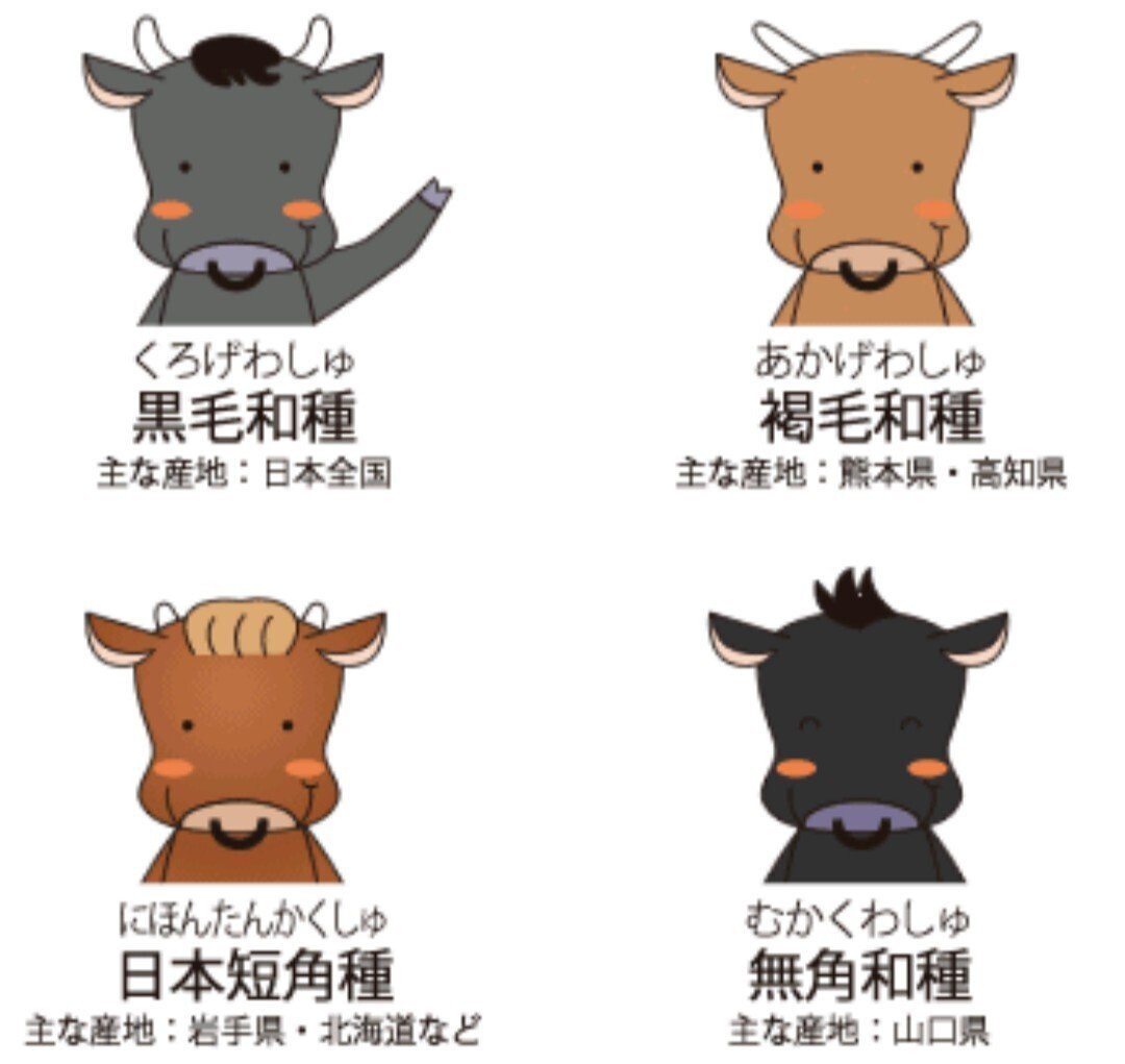 黒毛和種牛さんは挙手しています。無角和種牛さんは目が細いです。｜奥田蛍子