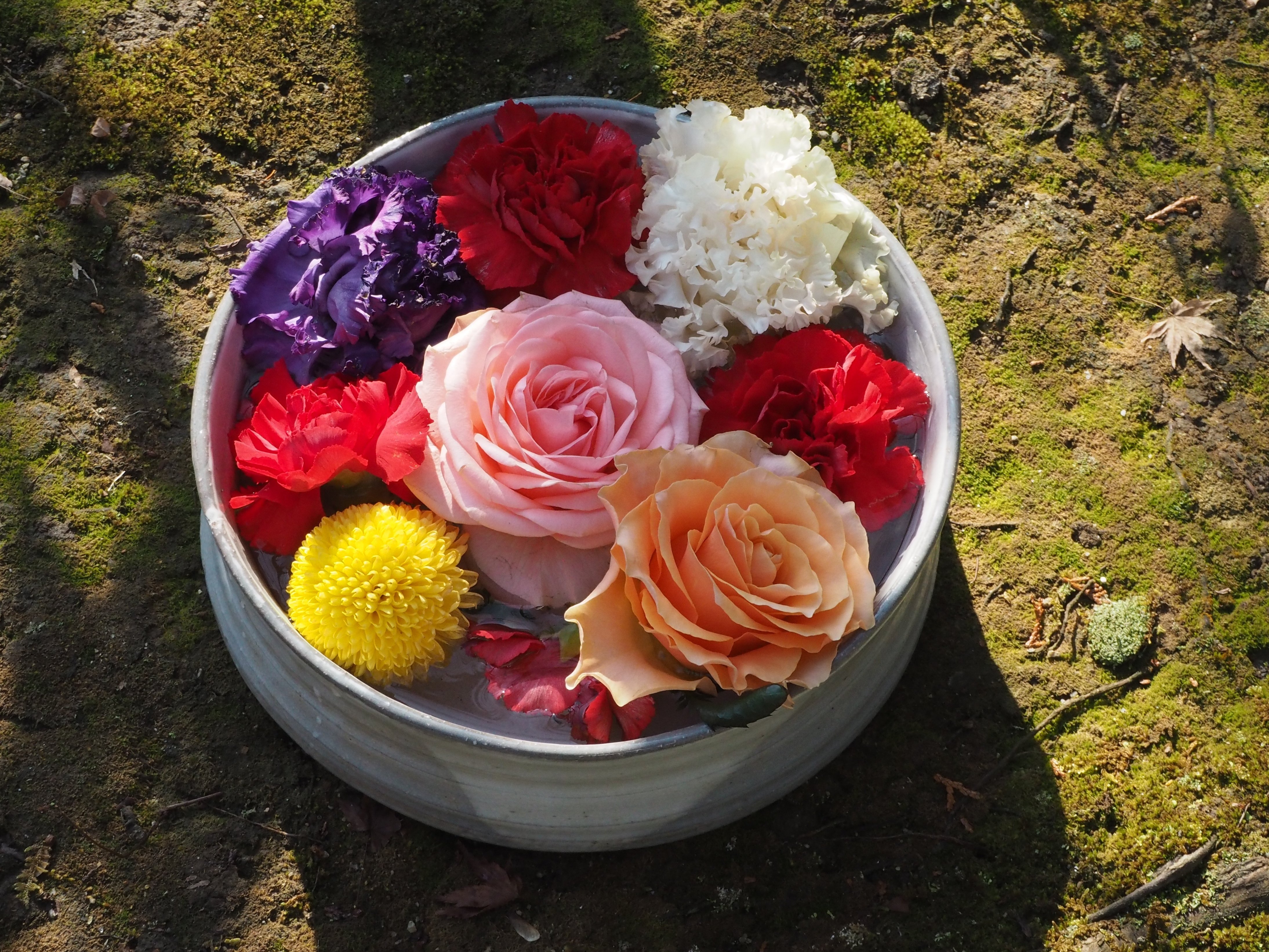限定≪レースおまもり：花出水・3色セット≫【京都　勝林寺】東福寺：嵐山：紅葉 限定≪レースおまもり：花出水・3色セット≫【京都 勝林寺