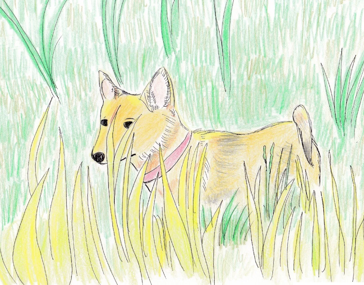 犬のスケッチ イラスト 犬のしっぽヤモリの手 Note
