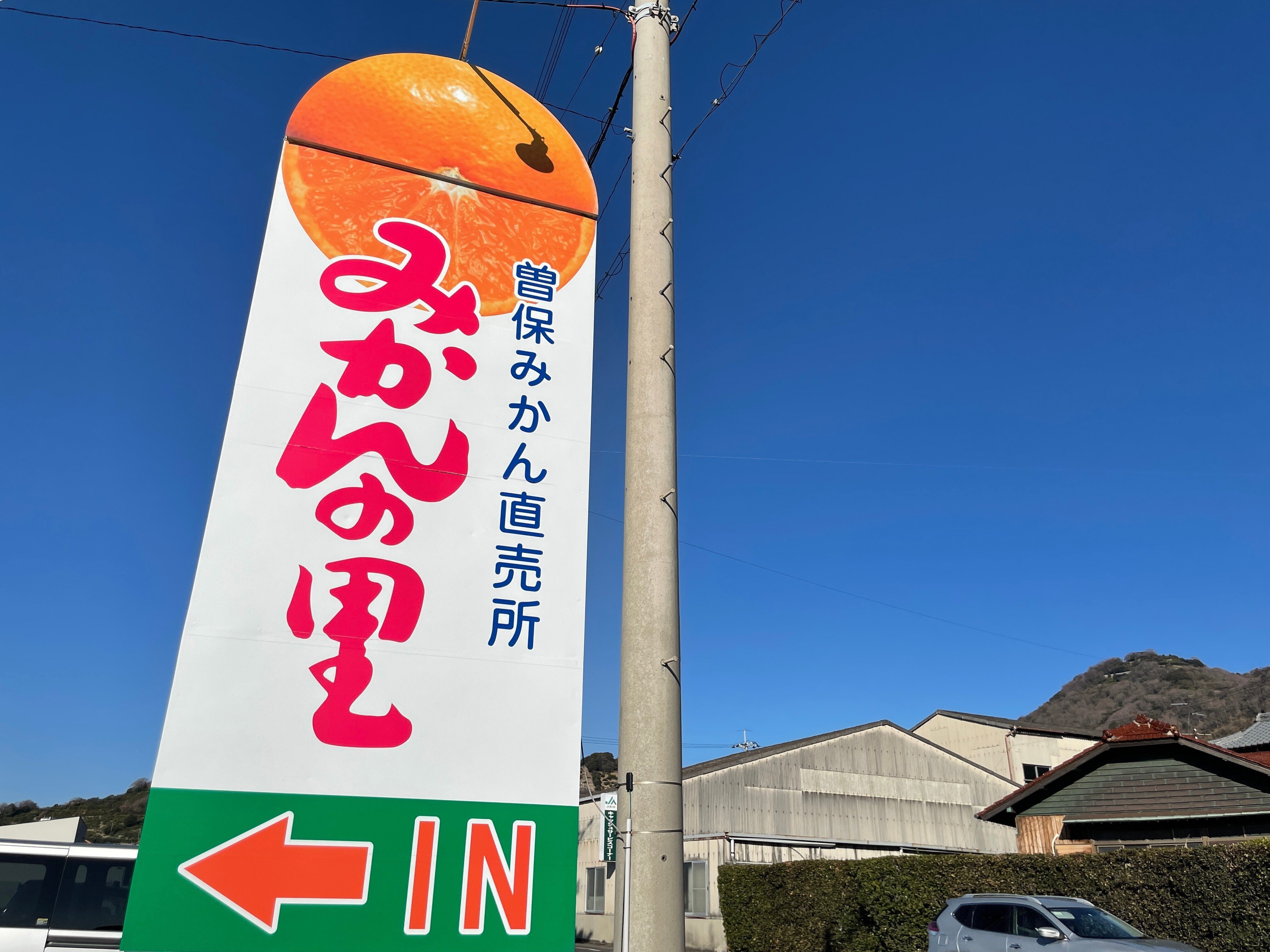 三豊市の曽保みかんは感動の味！直売所「みかんの里」へ｜週刊み