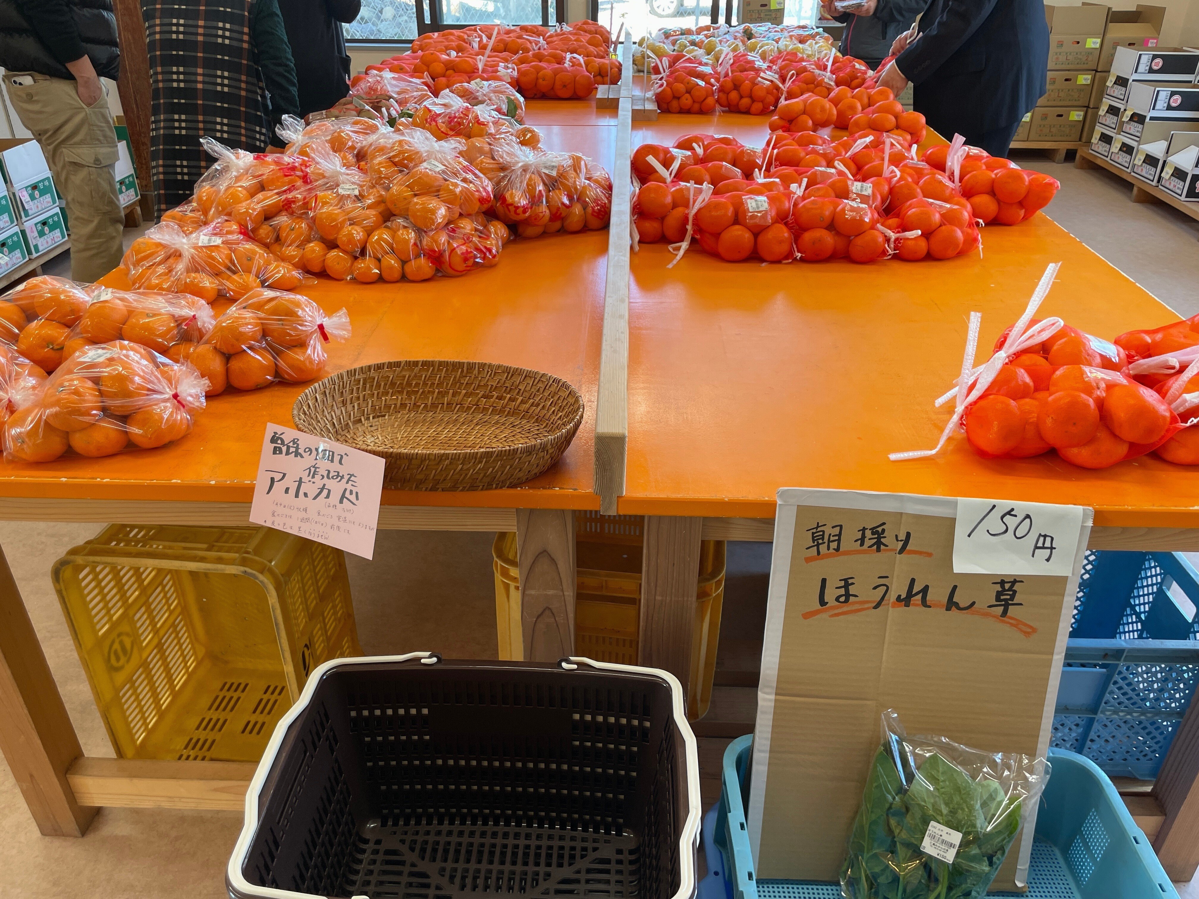 三豊市の曽保みかんは感動の味！直売所「みかんの里」へ｜週刊み