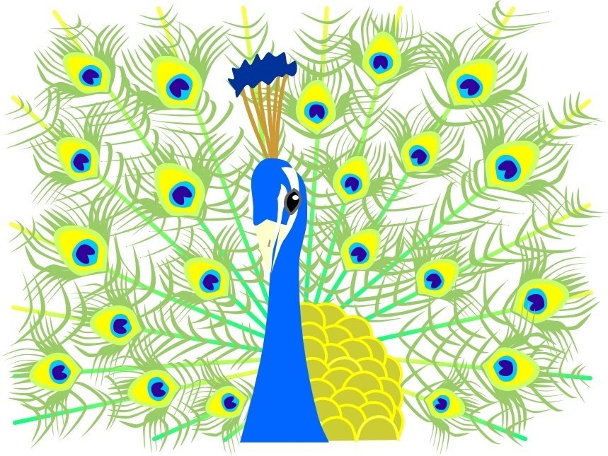 ダリが描いた孔雀の尾羽から血が そのヒントは神話にありました 諸橋近代美術館 ダリが描いた孔雀の尾羽から血が そのヒントは神話にありました 諸橋近代美術館