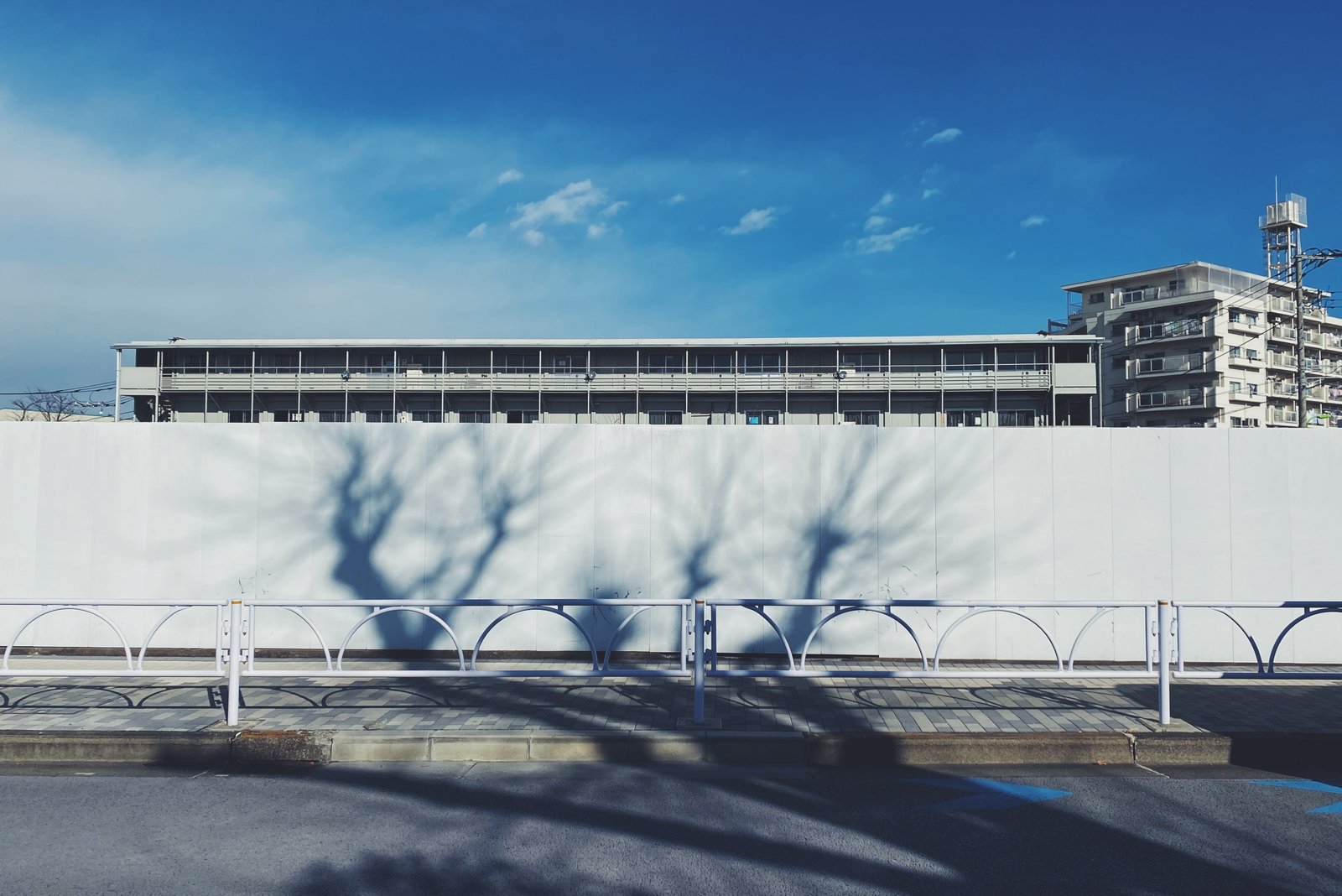 白い壁と木の影 3802｜稲垣純也｜note