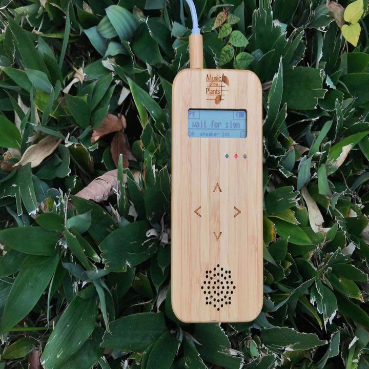 植物音楽 植物音楽デバイス ってなぁに Kackey Dabigtree Note