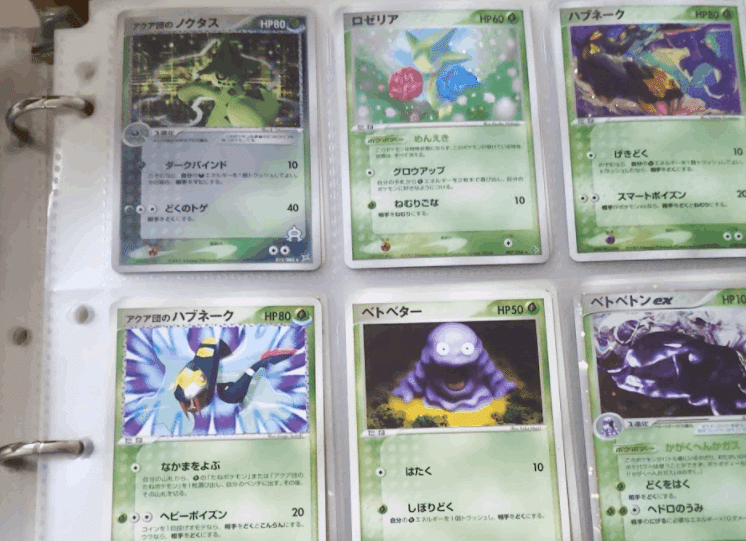 ポケモンカード ADV PCG ex カイリュー レックウザ ポケモンカード ADV