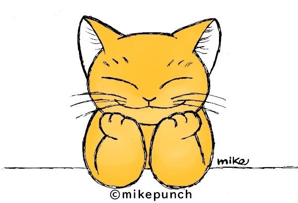 黄色い猫の満面の笑み