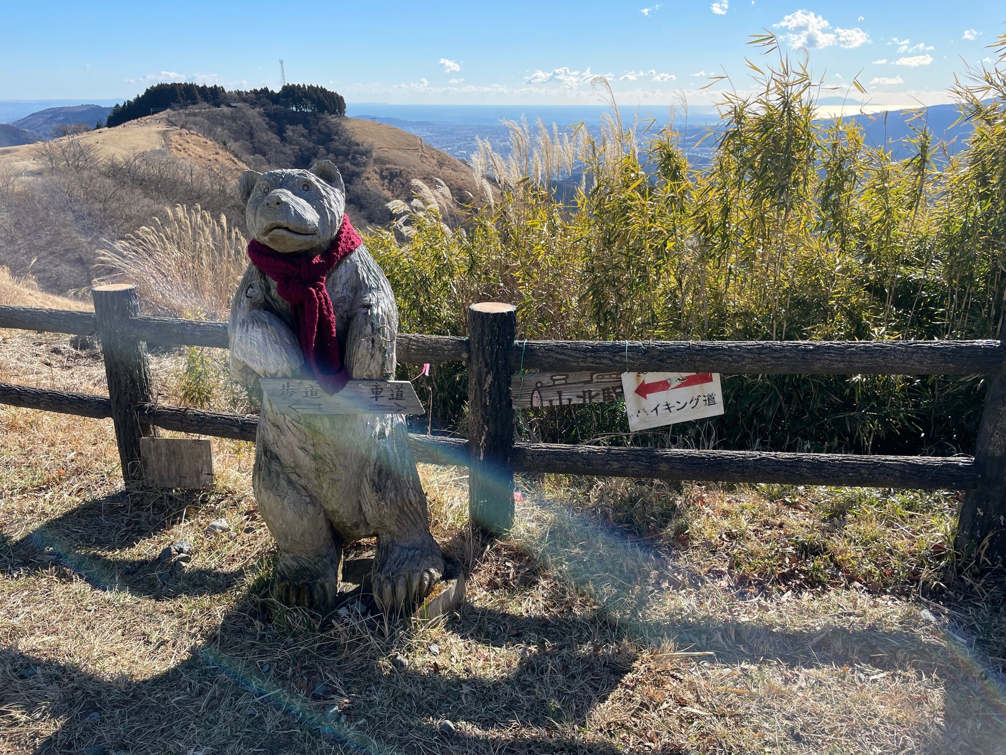 大野山 神奈川 案内板やトイレが多めの安心登山 登山日記 4 1 ミチ Note 大野山 神奈川 案内板やトイレが多めの安心登山 登山日記 4 1 ミチ Note