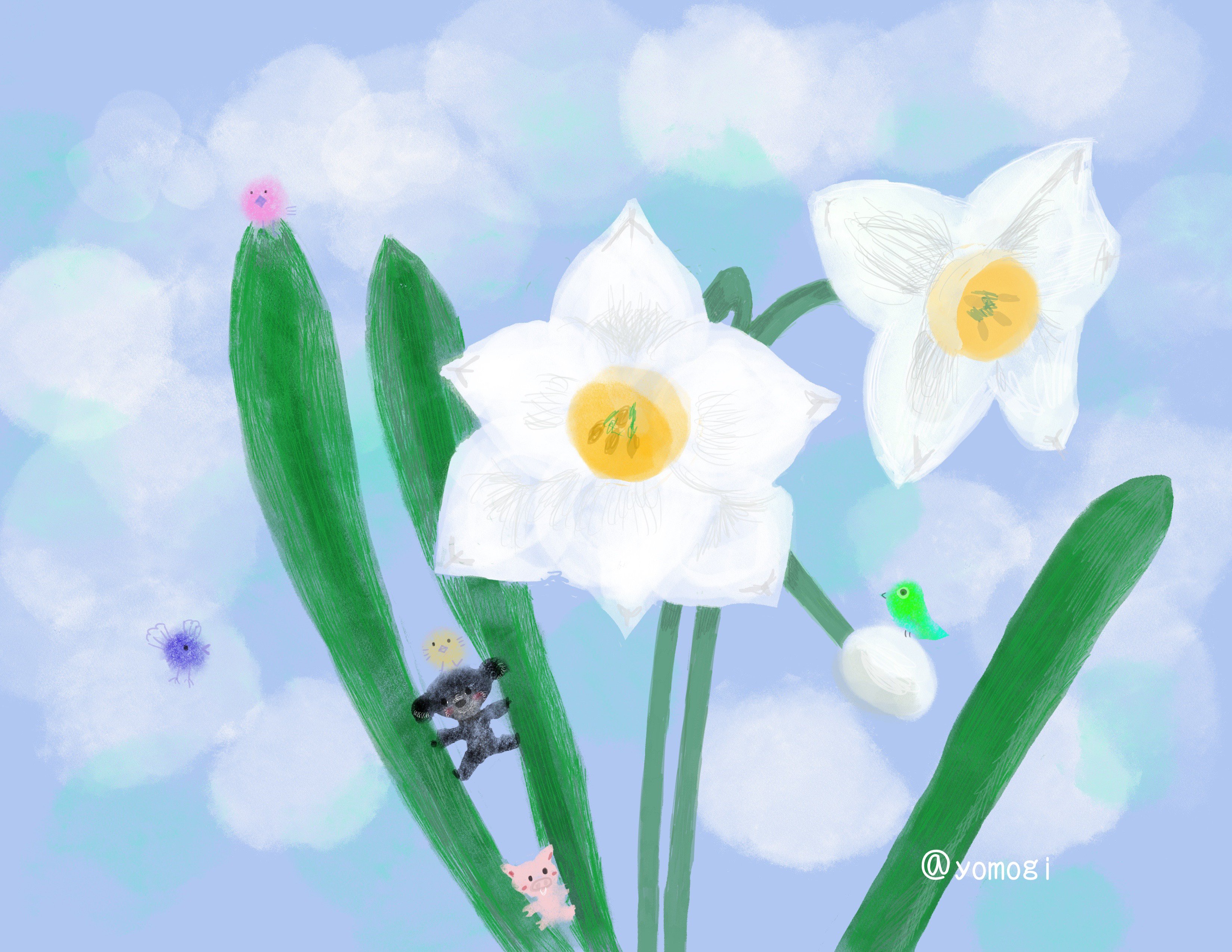 デジタルイラスト 水仙 よもぎの背のび Note