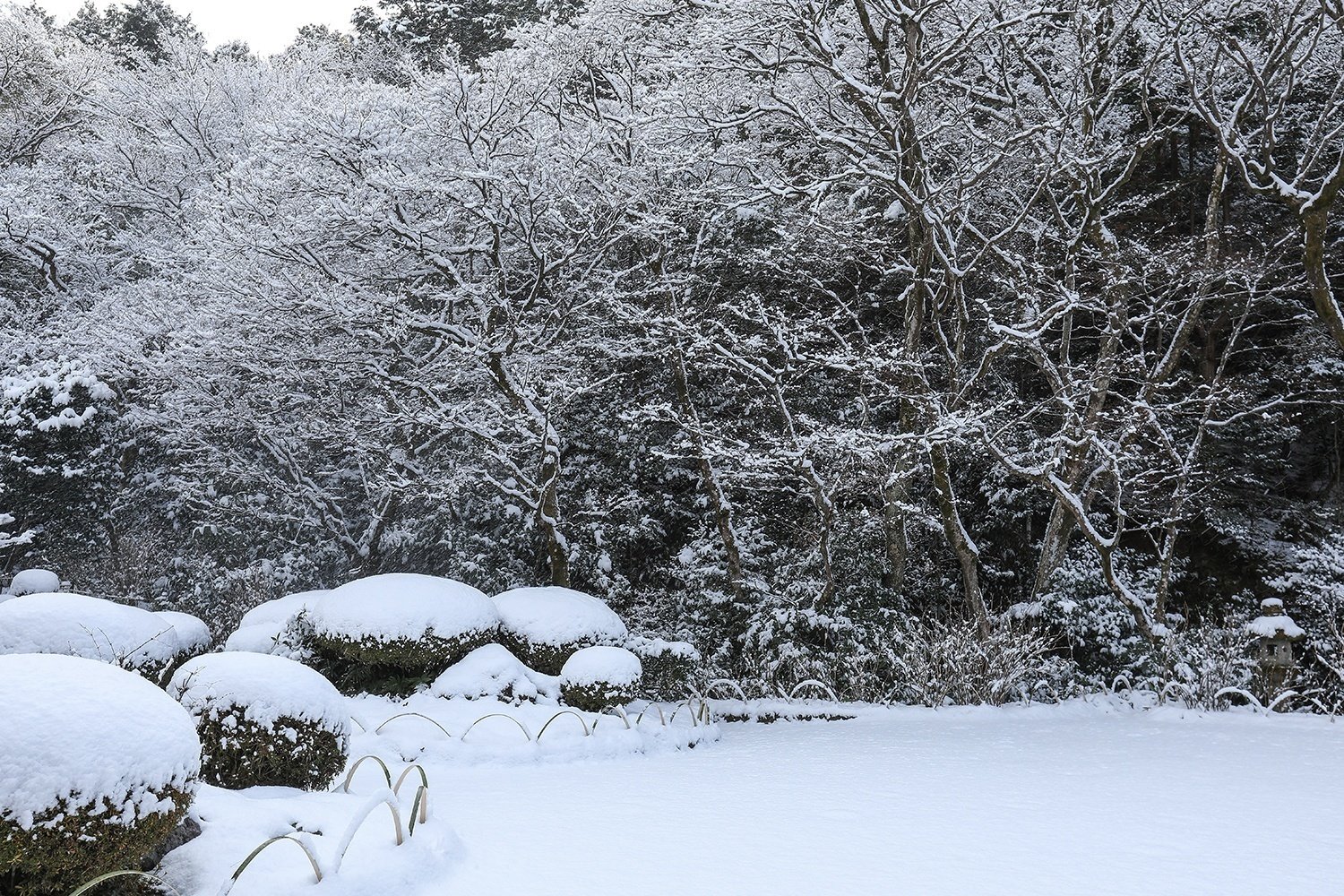 雪の詩仙堂｜京都散歩の旅