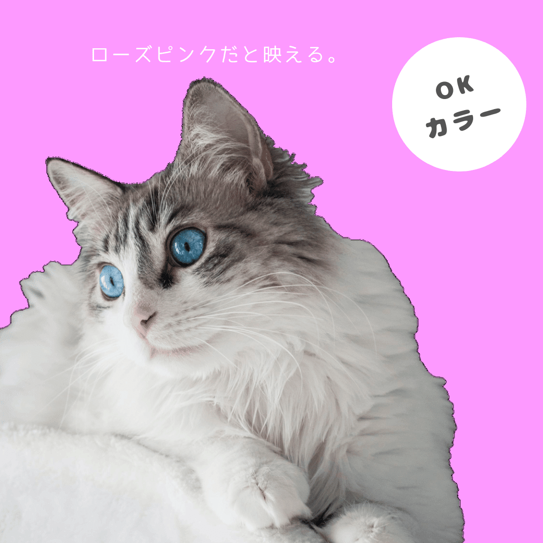 色でこんなに違う 背景色を変えてみる ネコ編 Co コプラス Note 色でこんなに違う 背景色を変えてみる ネコ編 Co コプラス Note