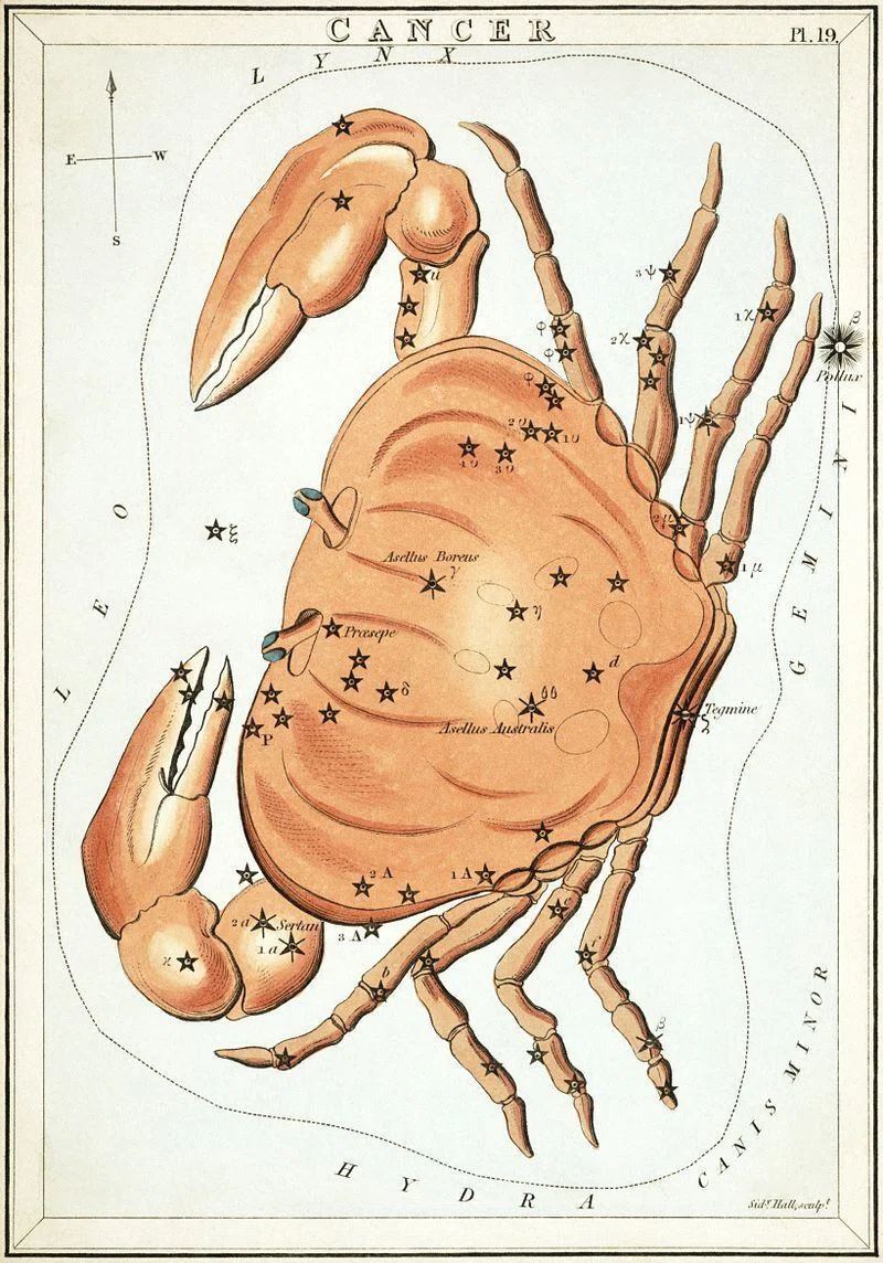 星座 かに座 蟹座　ギリシャ神話　フランス語　インテリア　織物 星座・蟹座（かに座）のおはなし｜Calling
