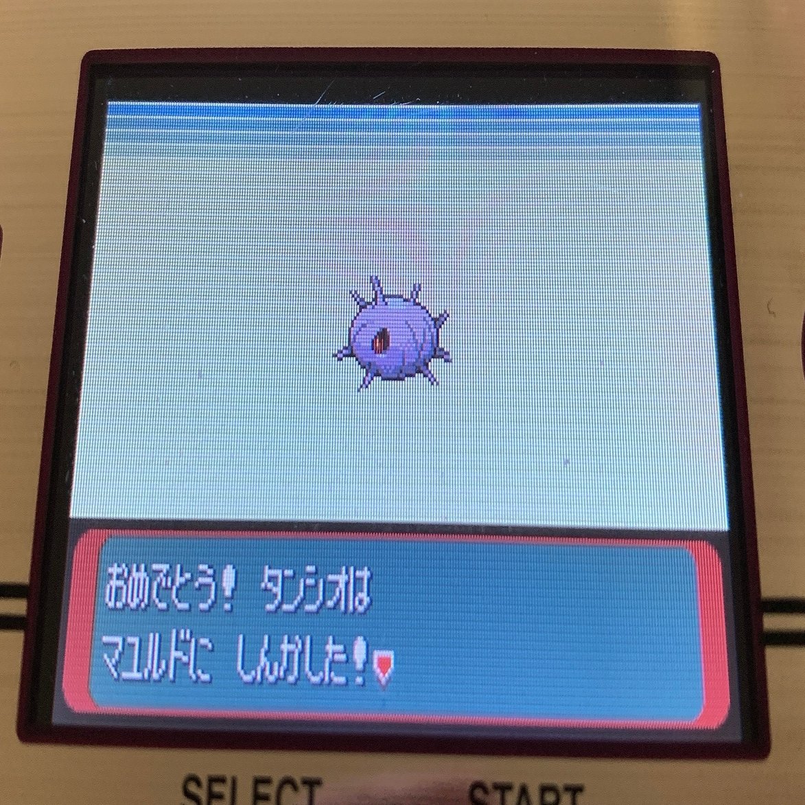 なぜ襲われていたのか ポケモンサファイアプレイ日記 1 りおん Note