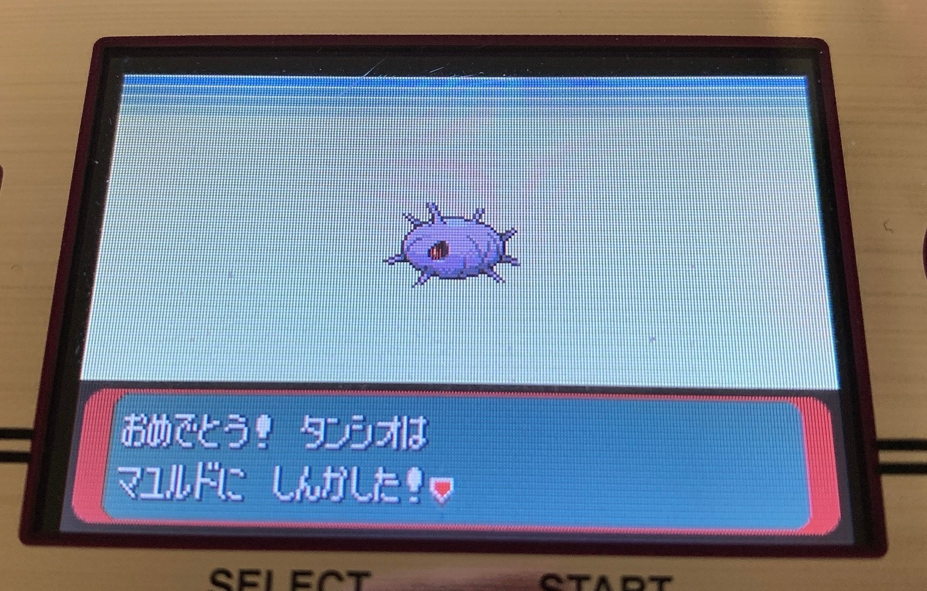 なぜ襲われていたのか ポケモンサファイアプレイ日記 1 りおん Note なぜ襲われていたのか ポケモンサファイアプレイ日記 1 りおん Note