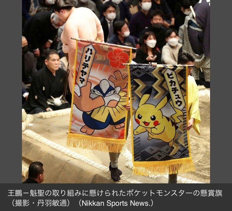 大相撲とポケモン ハリテヤマ 全力無双激烈拳vsピカチュウ 電光石火 あつこ 61 明るい弱虫ライター Note