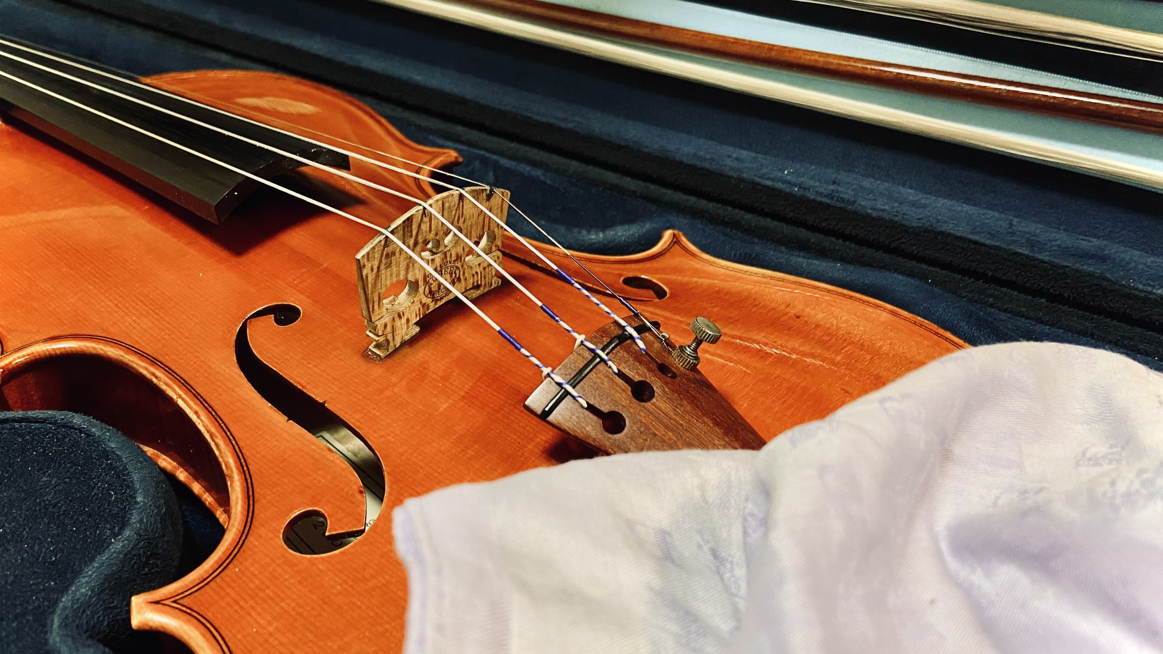 コントラバス弦　オリーブ　G線 コントラバス弦 オリーブ G線 楽天市場】PIRASTRO オリーブ