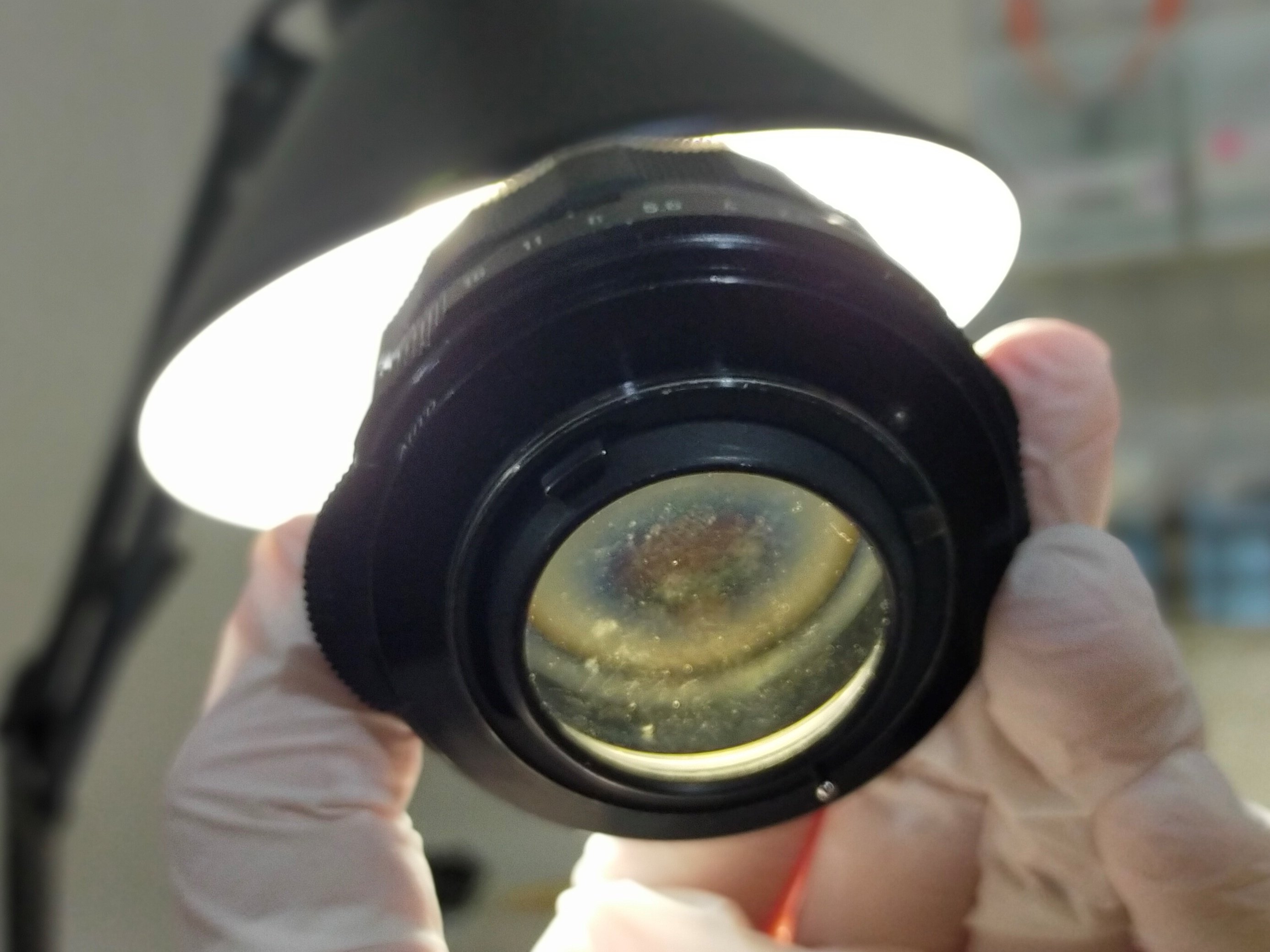 バドワイザー フィルムカメラ 動作確認 未 曲り