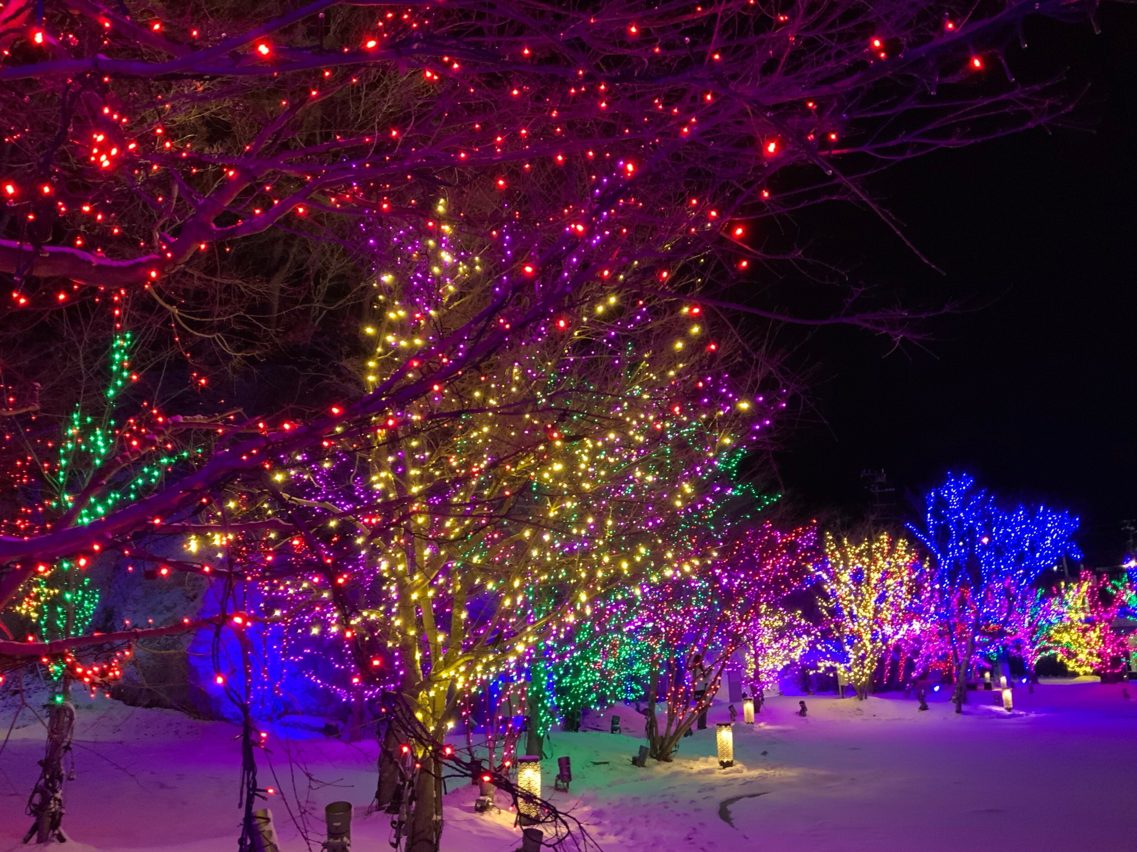 ☆Iwanuma Style☆ 〜松島イルミネーション with STIベア〜｜スバル