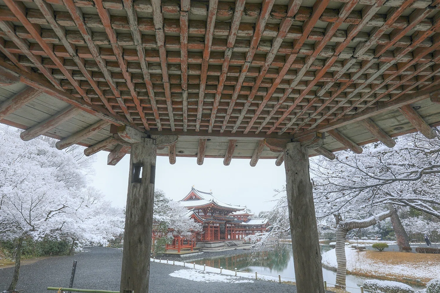 幻の「平等院」雪景色｜京都散歩の旅