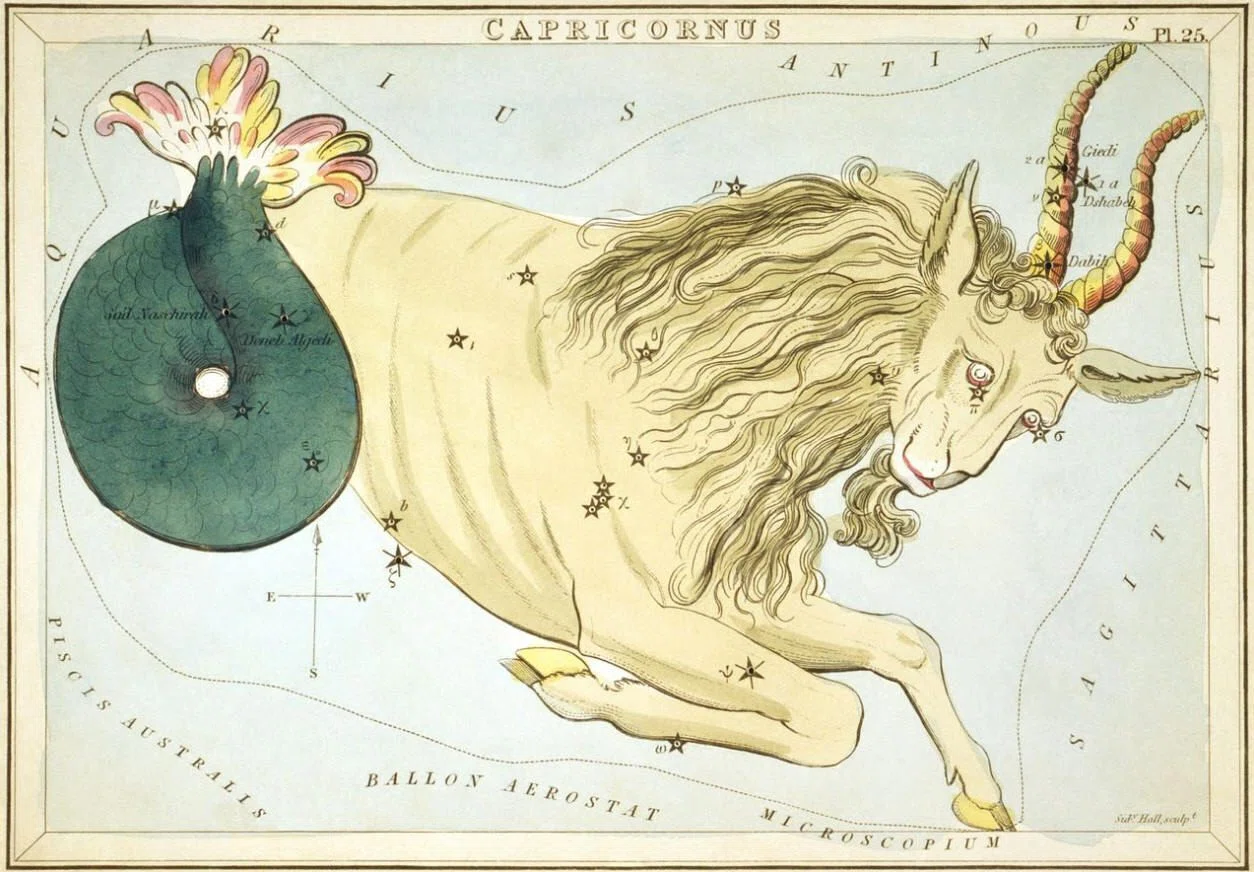 星座 おひつじ座 牡羊座 ギリシャ神話 フランス語 インテリア 織物