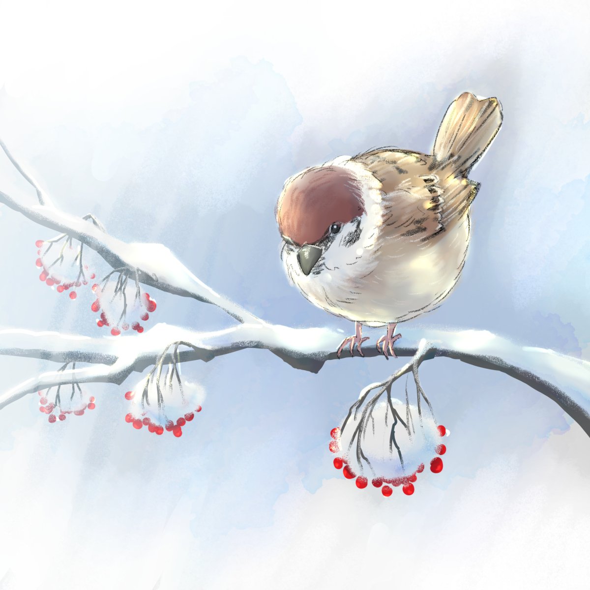 雪の積もったナナカマドと冬毛の雀 かざすずゆらぎ Note