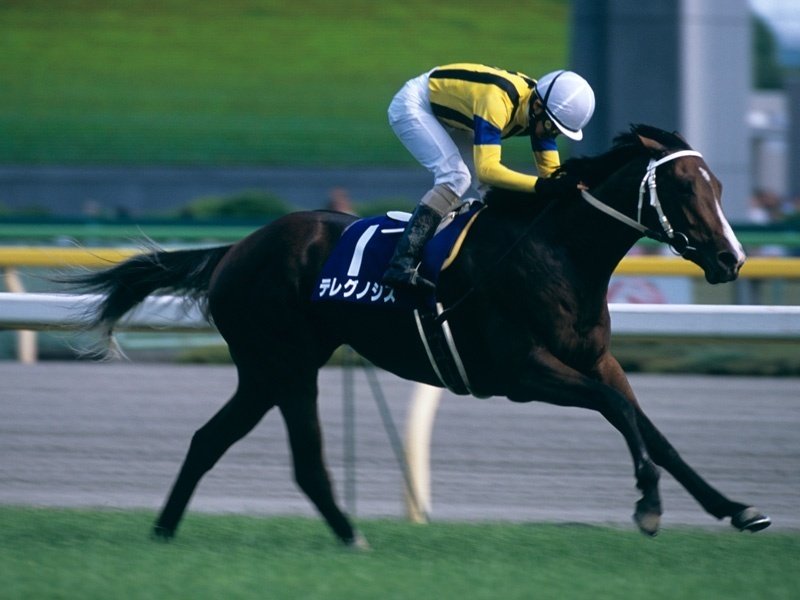 競馬 ウマ娘 ナリタトップロード 2000年ステイヤーズS 現地購入単勝