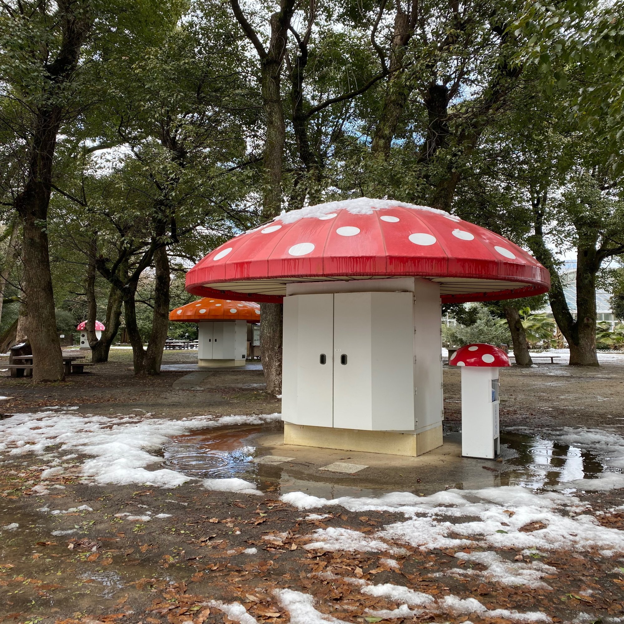 京都府立植物園に行きました Suna Note