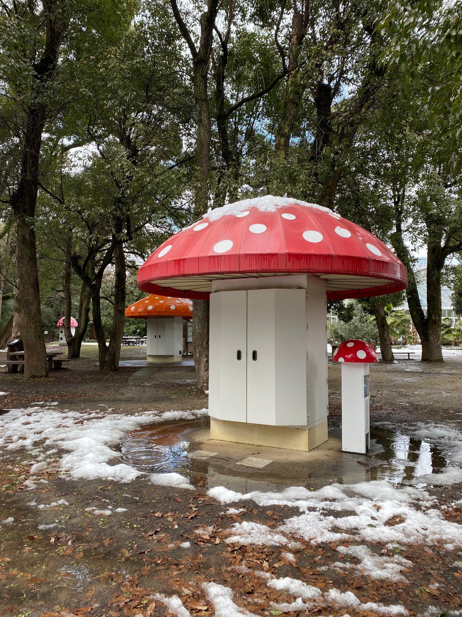 京都府立植物園に行きました Suna Note 京都府立植物園に行きました Suna Note