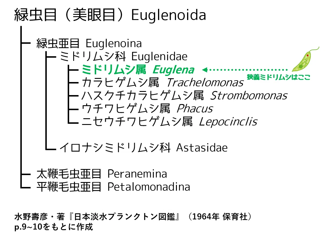 M018. 【生物学・図鑑】日本淡水プランクトン図鑑｜みどりむしエレナ