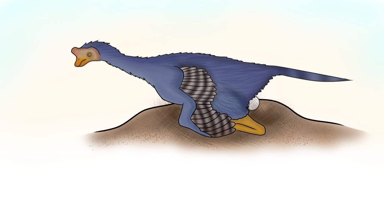 10話 爬虫類 恐竜 魚竜 首長竜の進化の歴史 ポケモンとtm Revolution様でアレンジ 創作 アホロートルちゃんの物語 Youtube イラスト動画