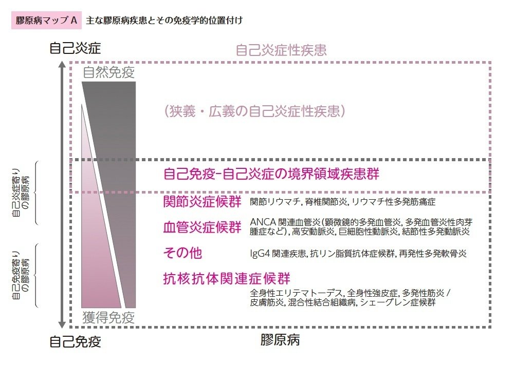 Dr.前島の膠原病論 Dr.前島の膠原病論 | 前島 圭佑 |本 | 通販 | Amazon