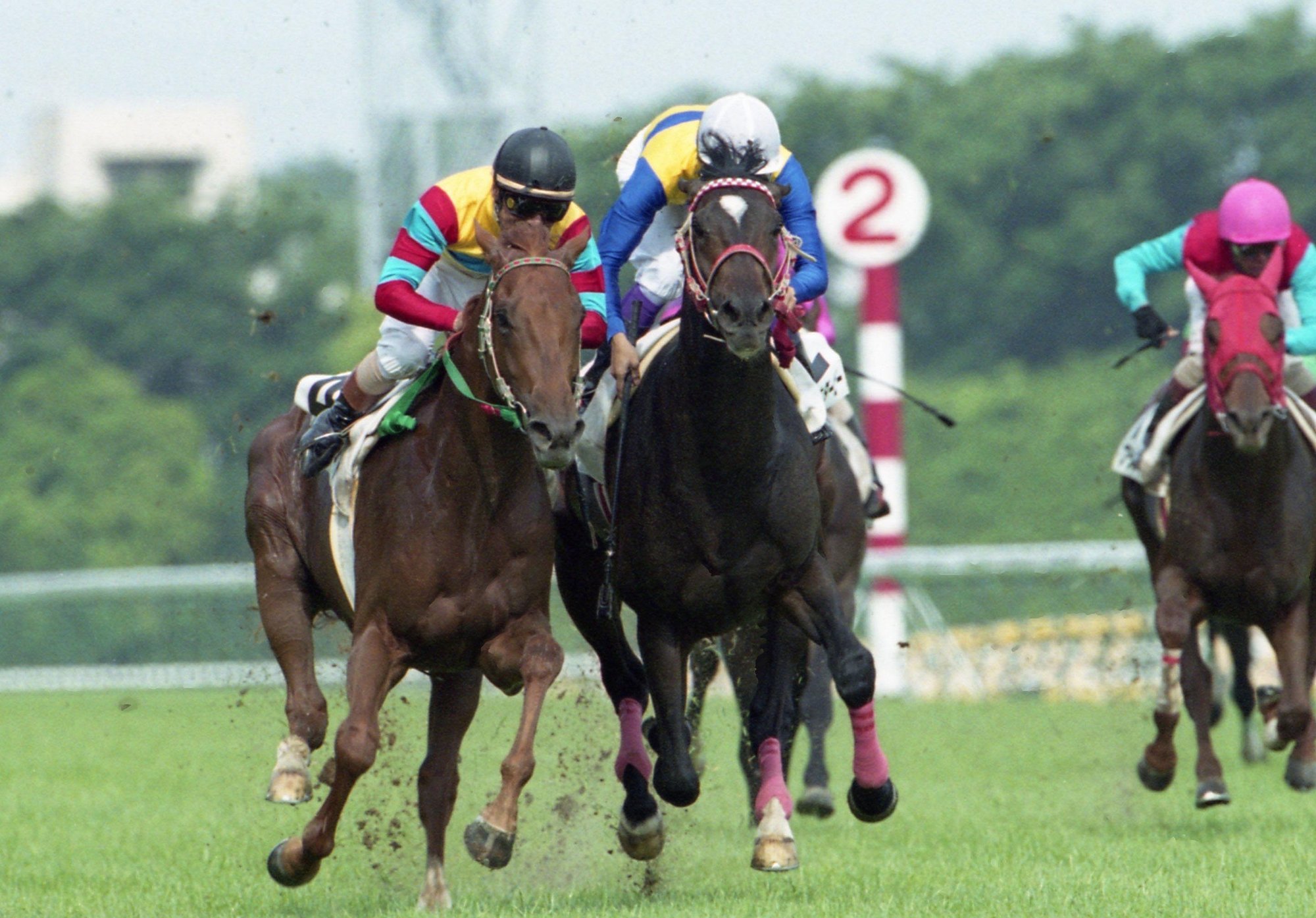 ウマ娘 でも気性難 エアシャカールの斜行伝説と 7センチ を 東スポ で振り返る 東スポnote ウマ娘 でも気性難 エアシャカールの斜行伝説と 7センチ を 東スポ で振り返る 東スポnote