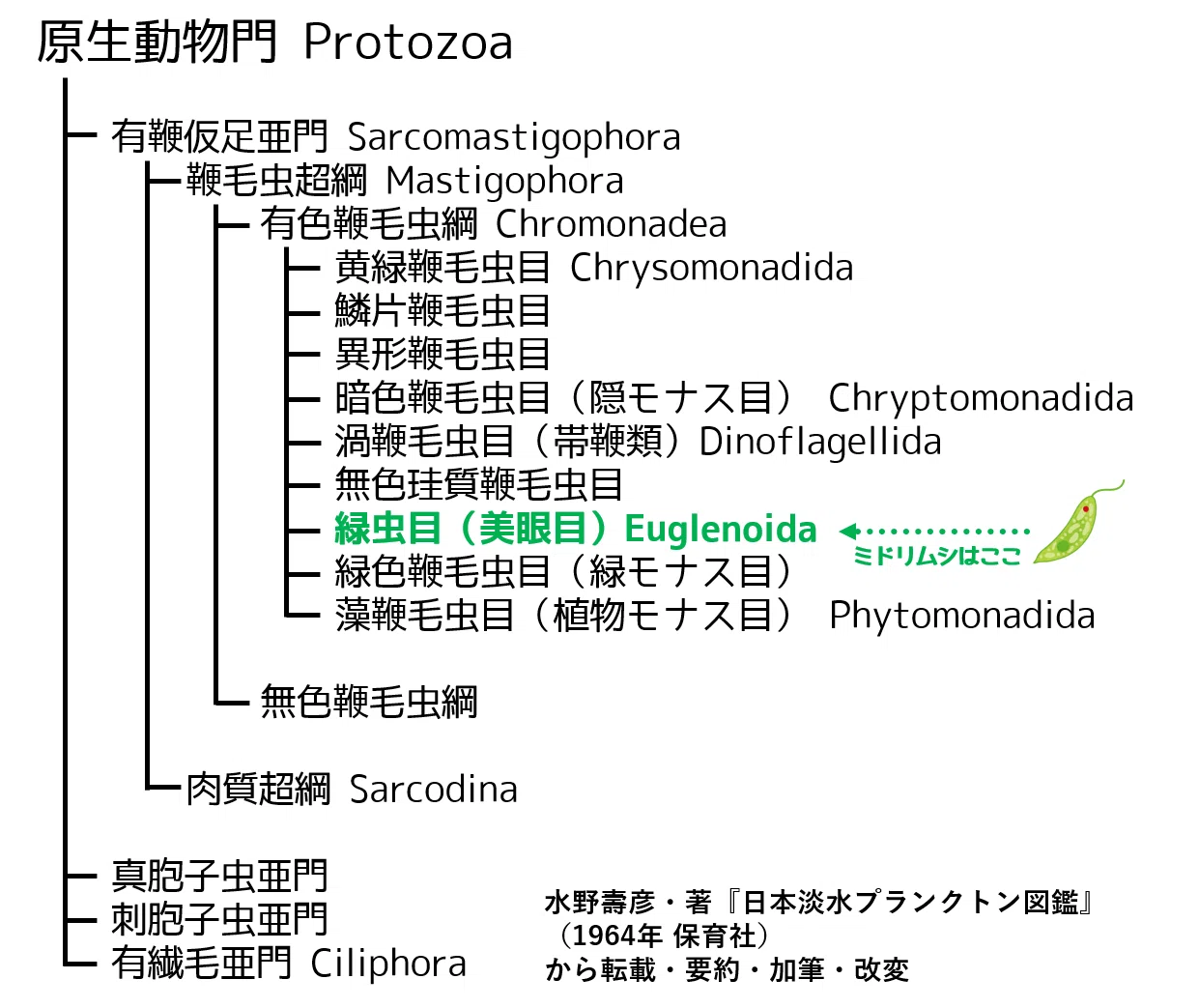 M018. 【生物学・図鑑】日本淡水プランクトン図鑑｜みどりむしエレナ