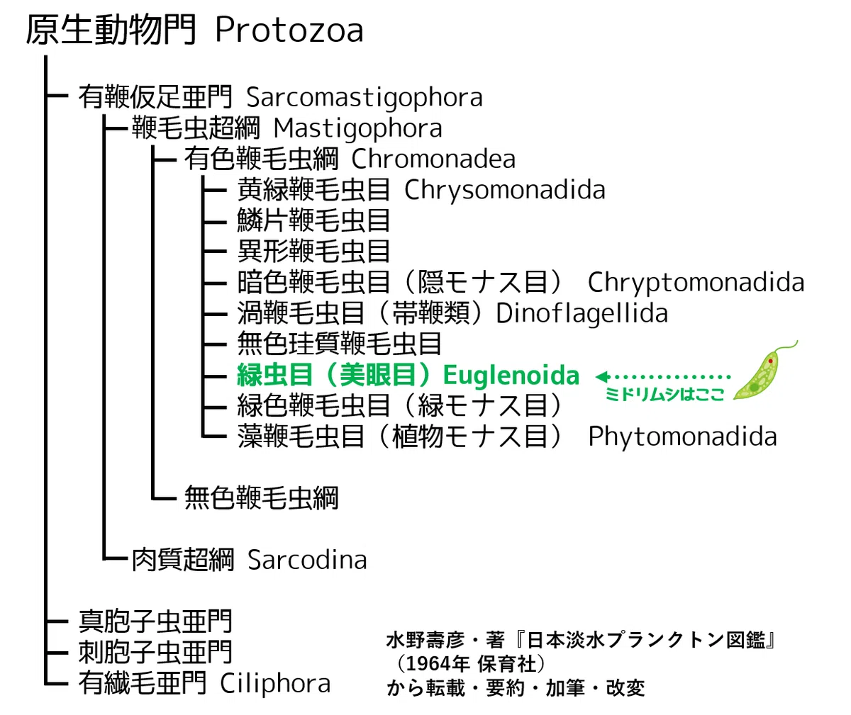 M018. 【生物学・図鑑】日本淡水プランクトン図鑑｜みどりむしエレナ