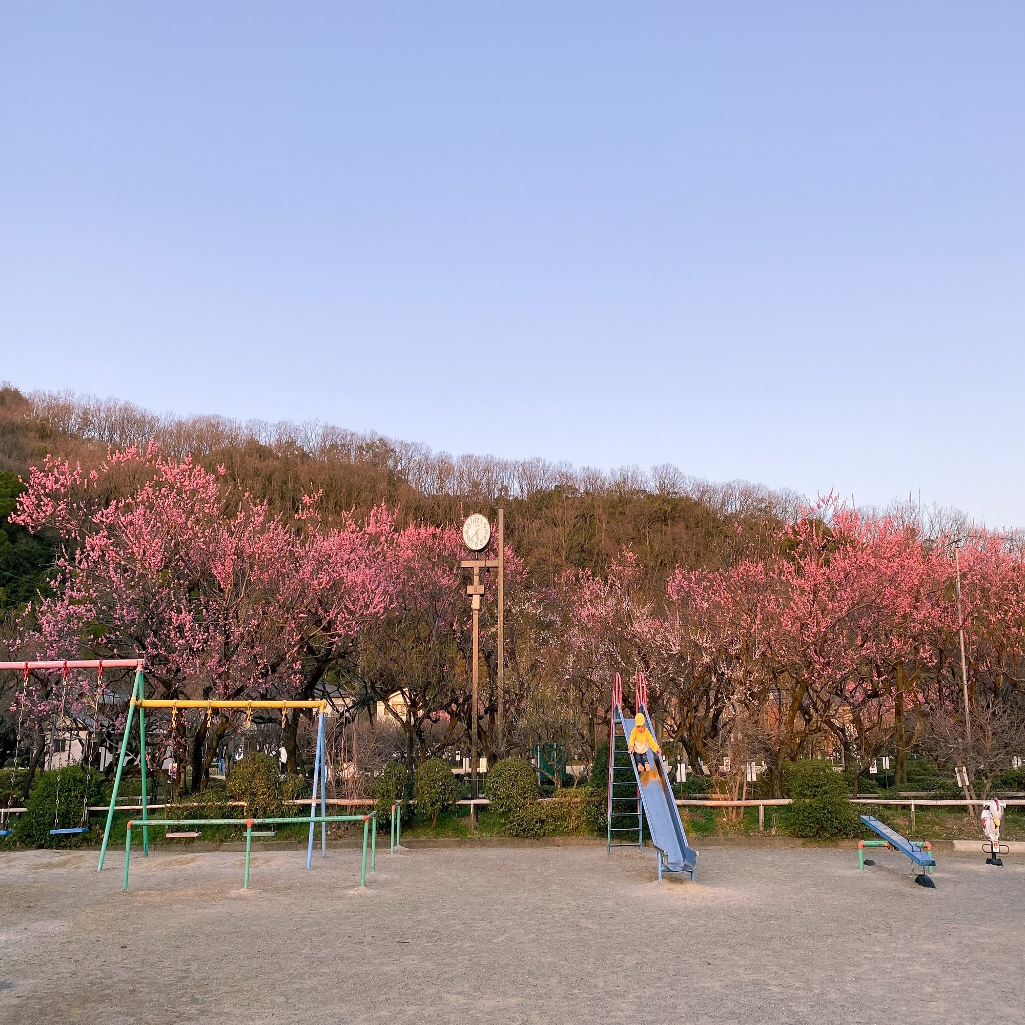 梅林を歩いて春の季語採集 俳句と暮らす Vol 08 みたすくらす 東海の地産情報を地元クリエイターがお届け